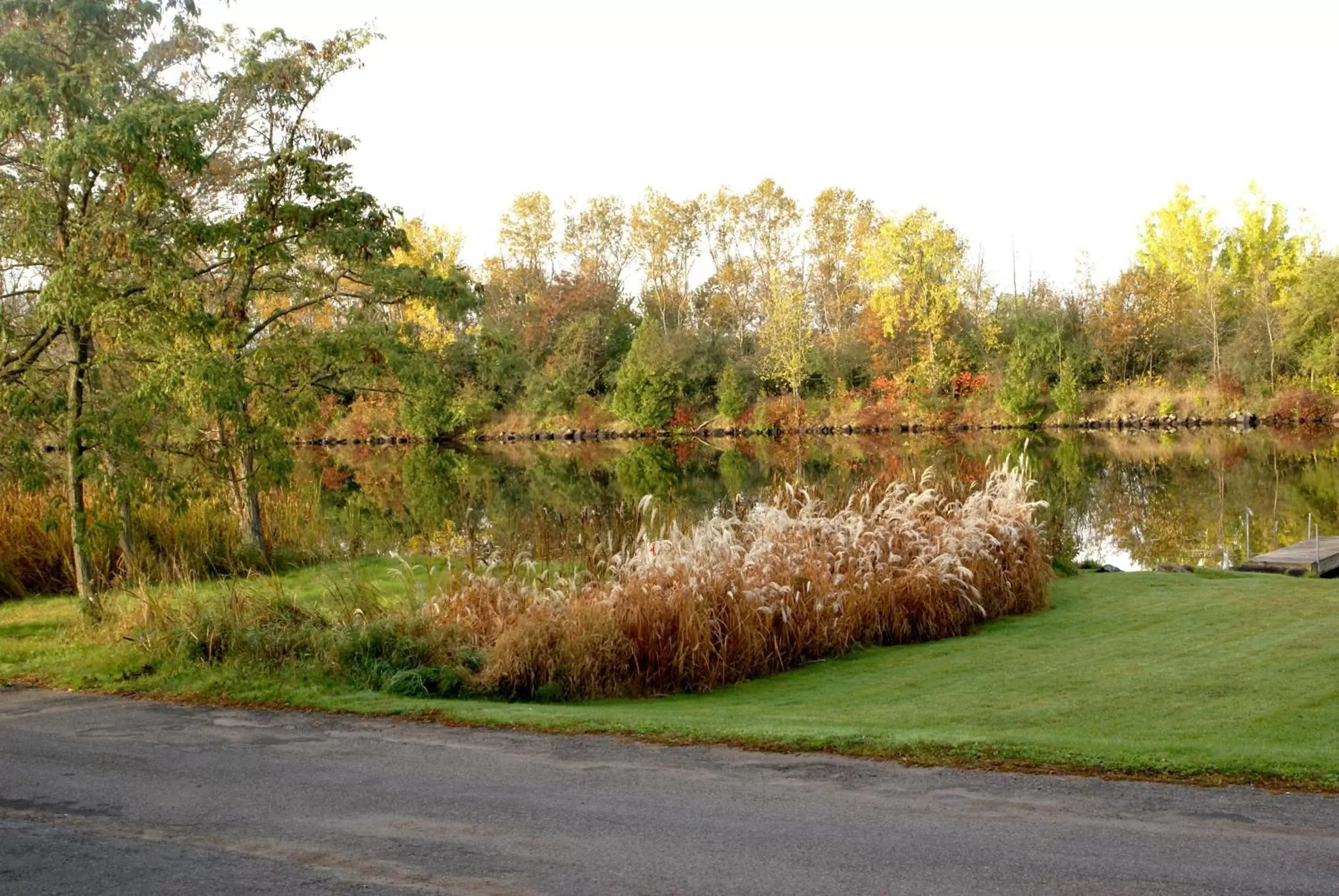 Autumn in Liftlock Guest House