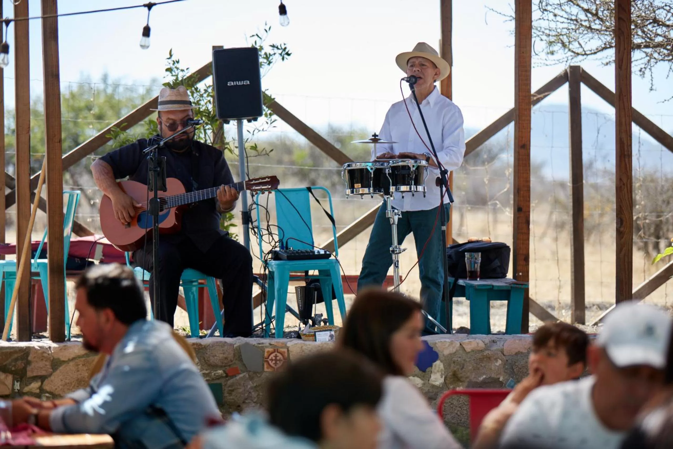 Restaurant/places to eat in Casa Pavo Real en el Viñedo El Pavo Real del Campo