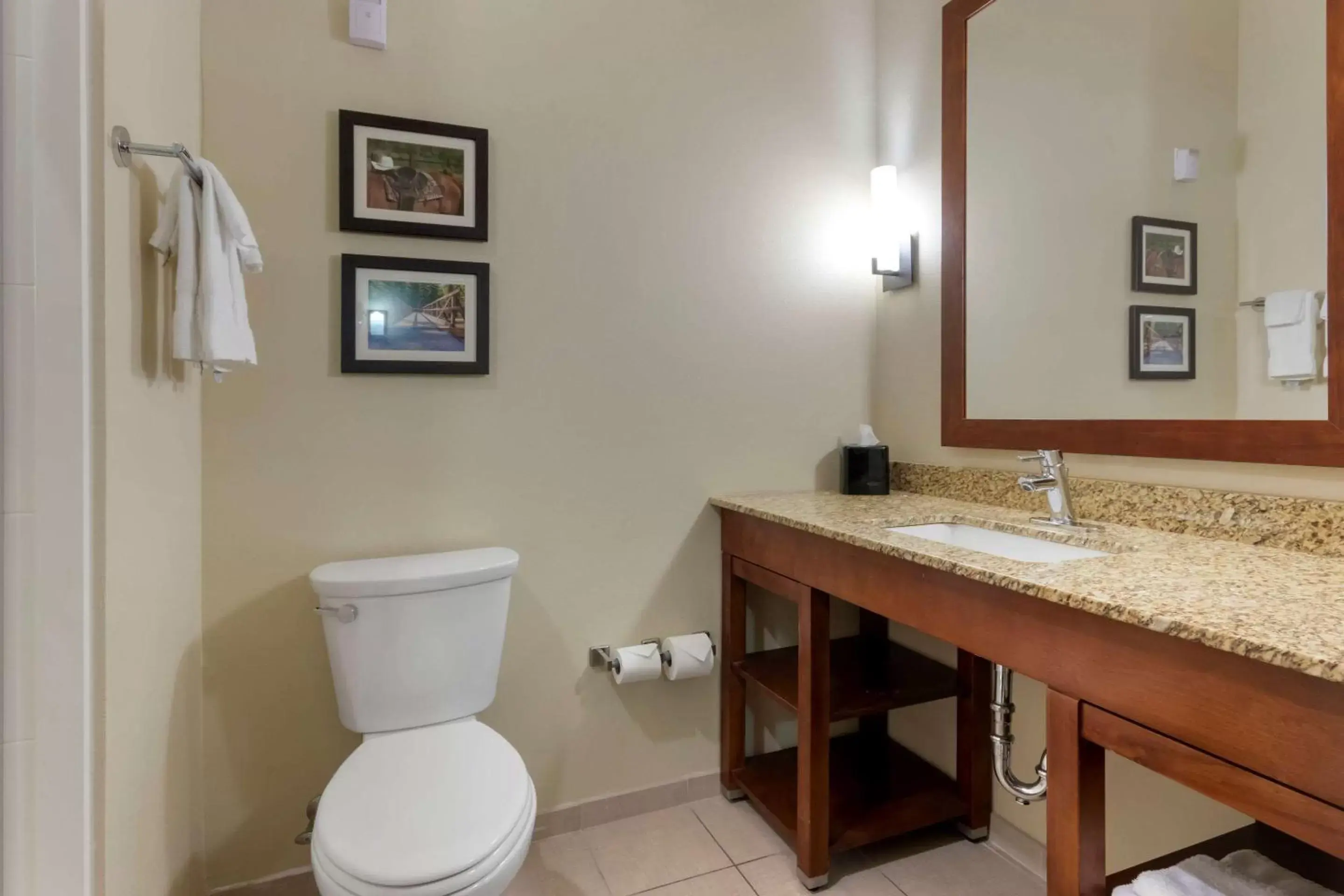 Photo of the whole room, Bathroom in Comfort Suites Billings