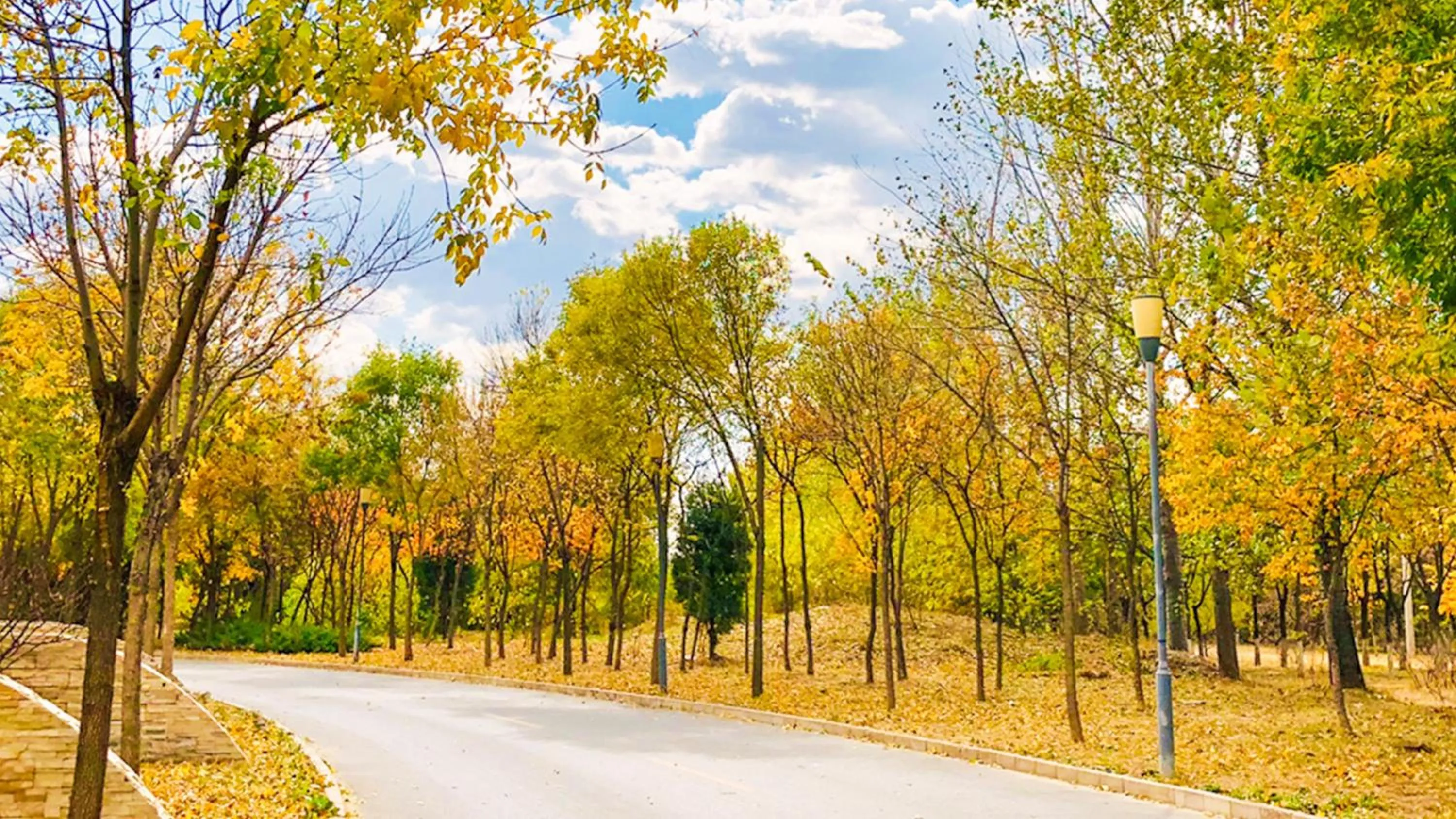 Other in Holiday Inn Beijing Shijingshan Parkview by IHG