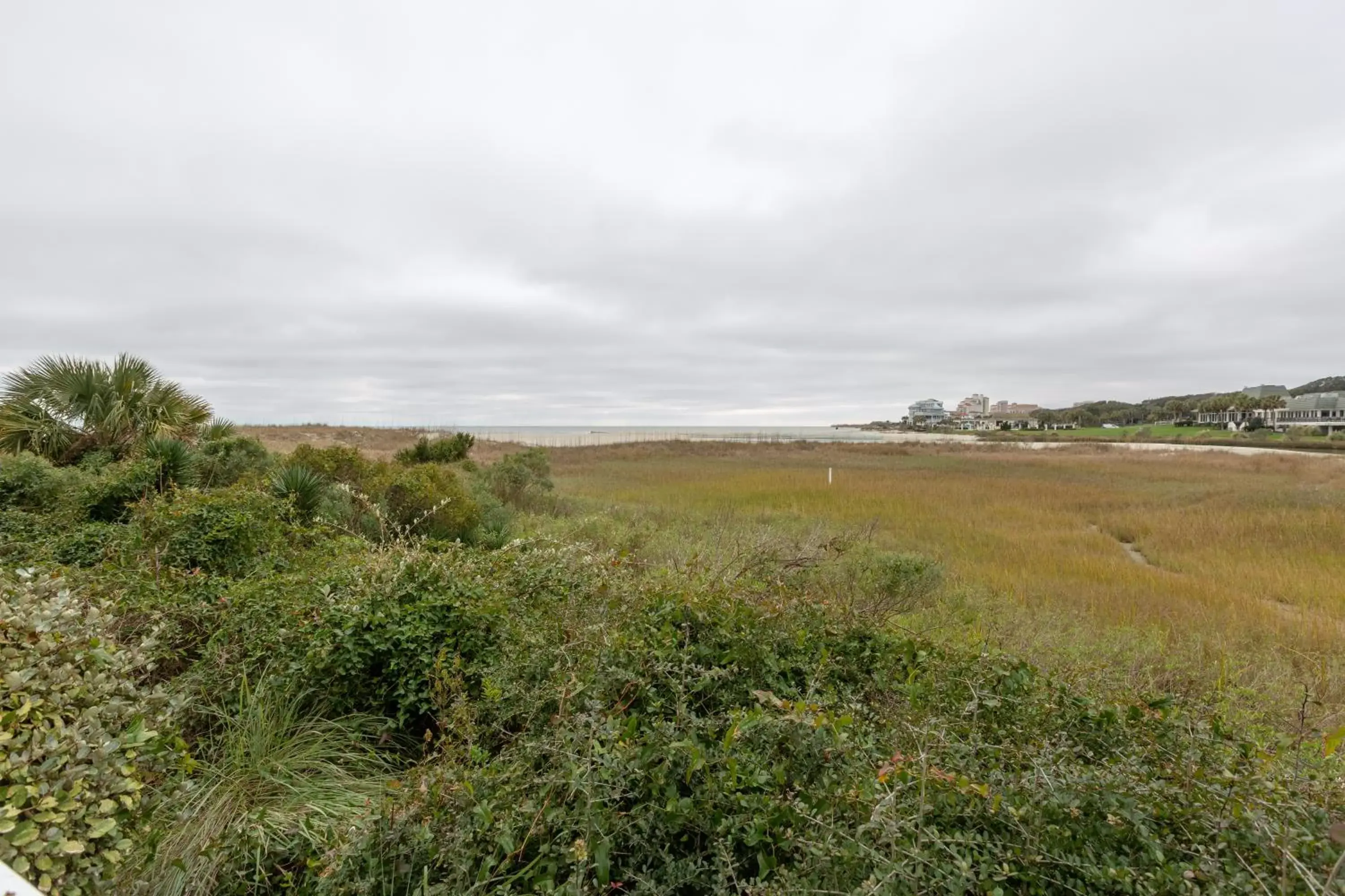 Natural Landscape in Sands Beach Club by Capital Vacations