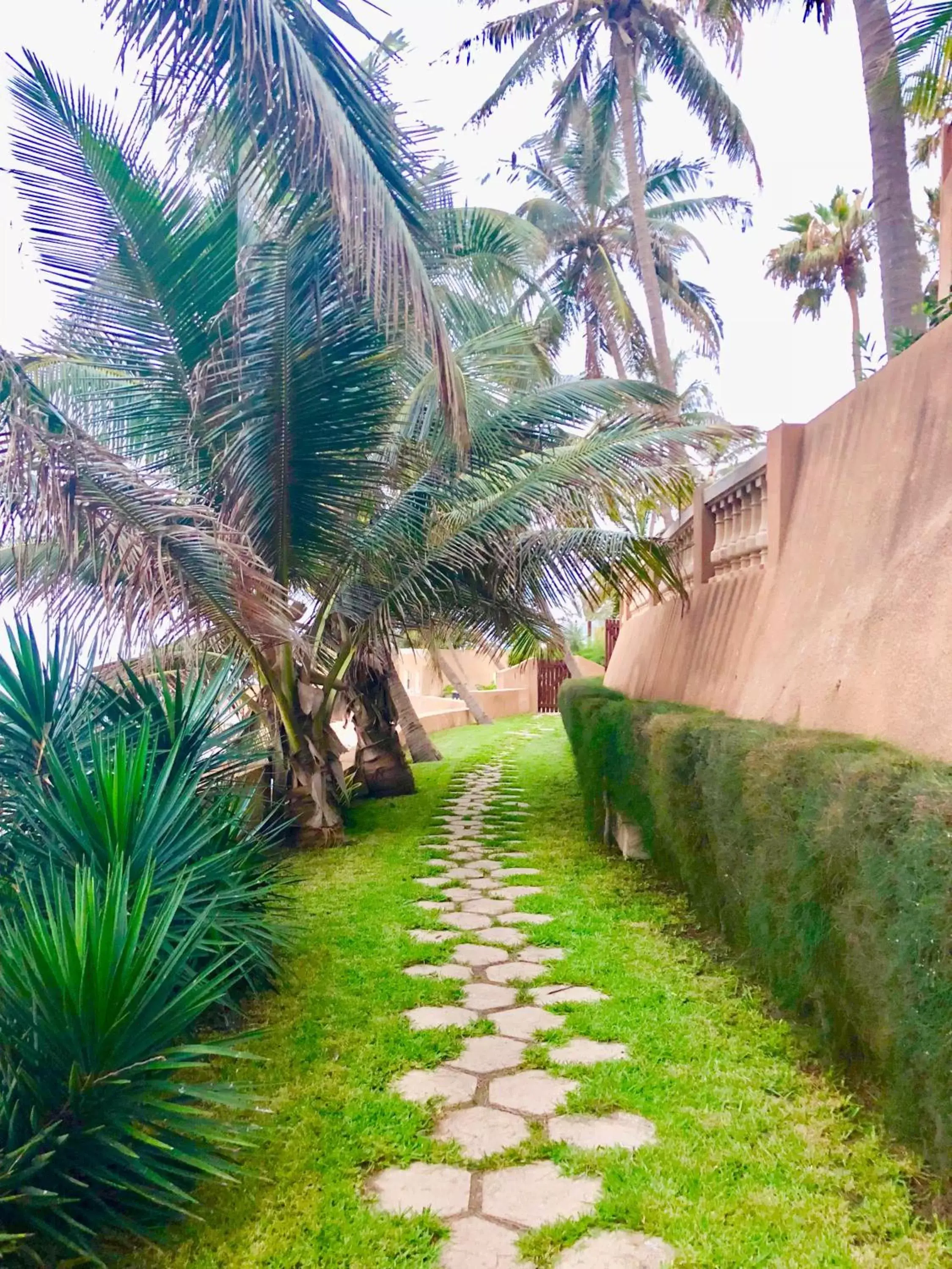 Garden in Hotel Jardin Savana Dakar