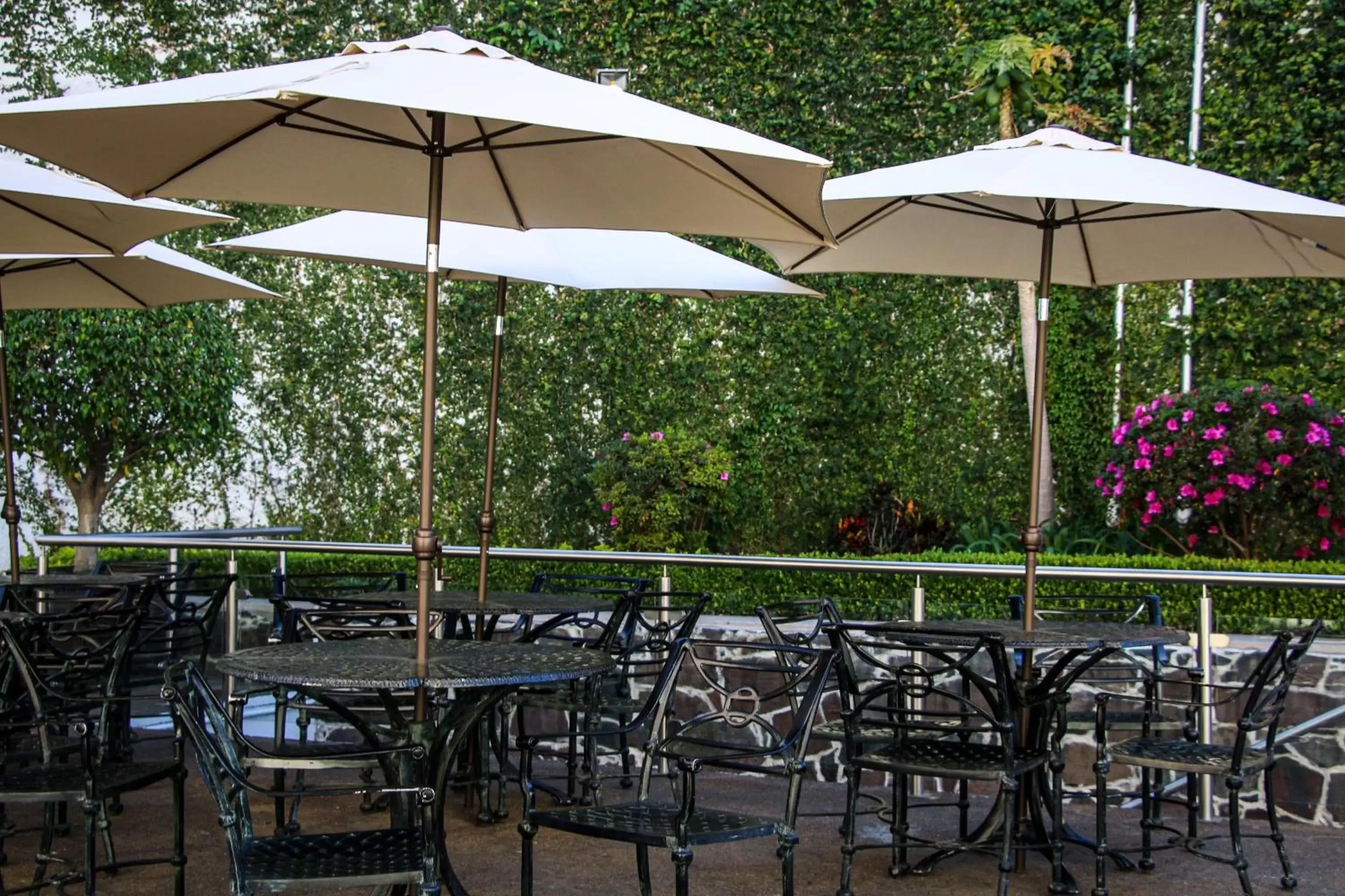 Balcony/Terrace in Country Hotel & Suites