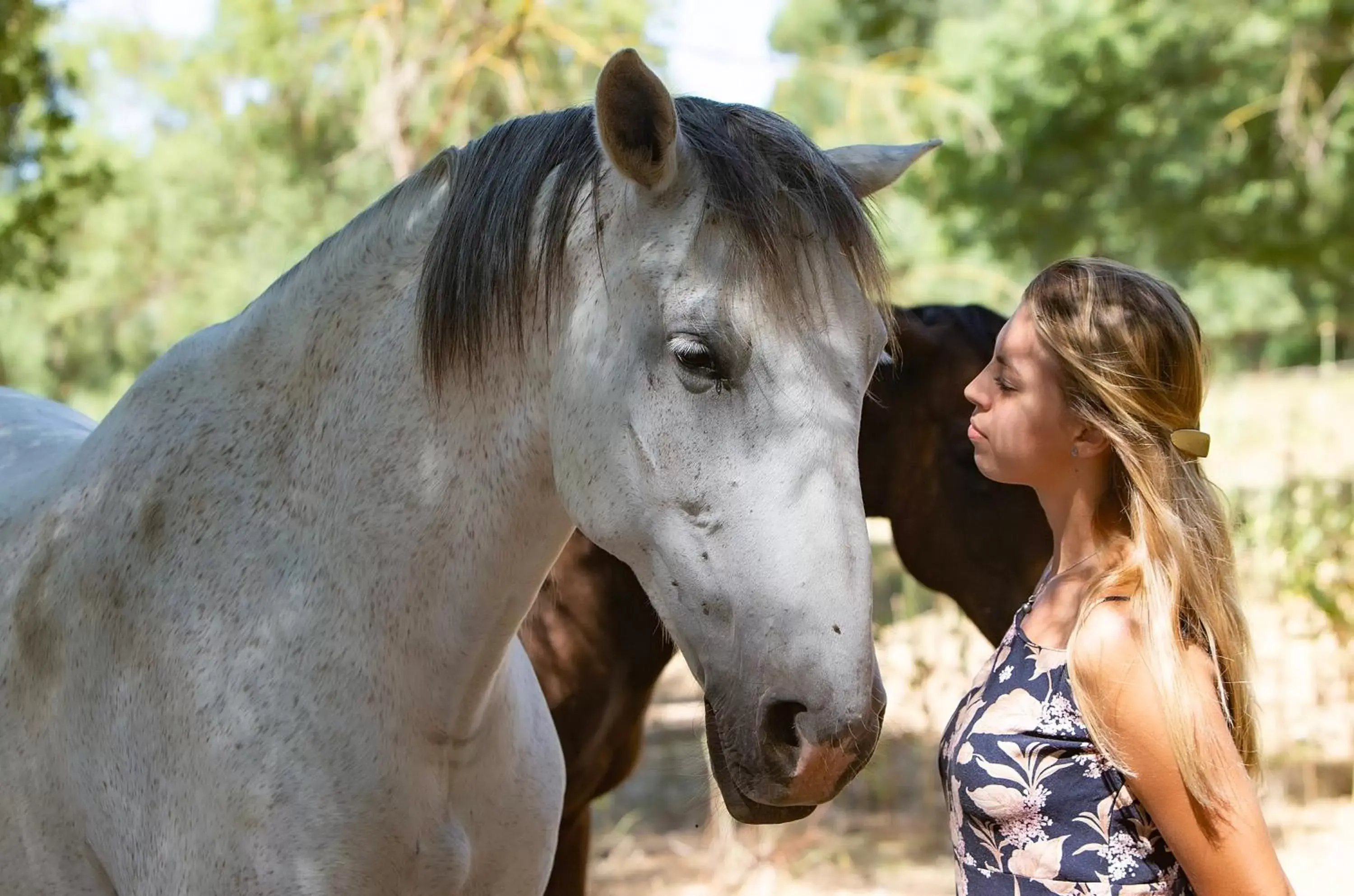 Animals, Other Animals in Domaine de Biar