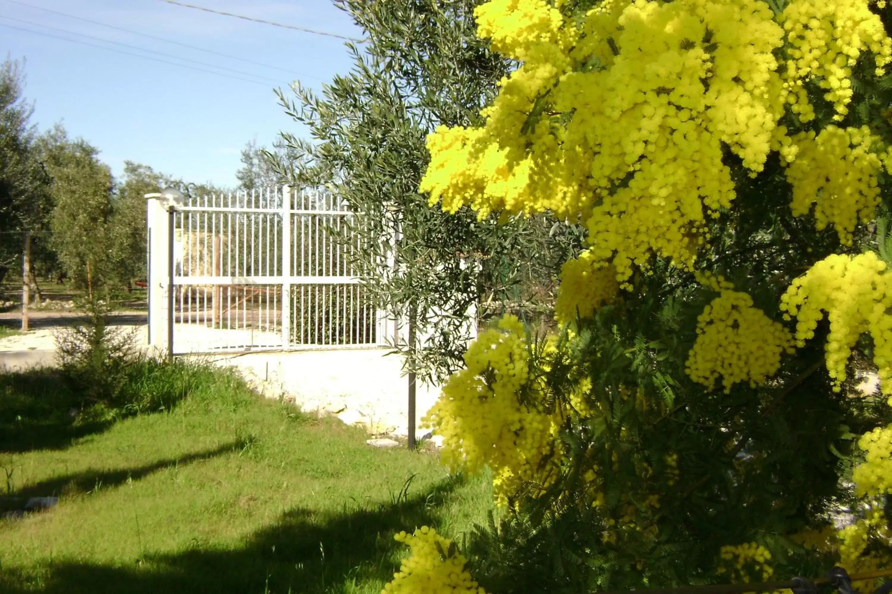 Facade/entrance, Other Activities in B&B Villa Méditerranée