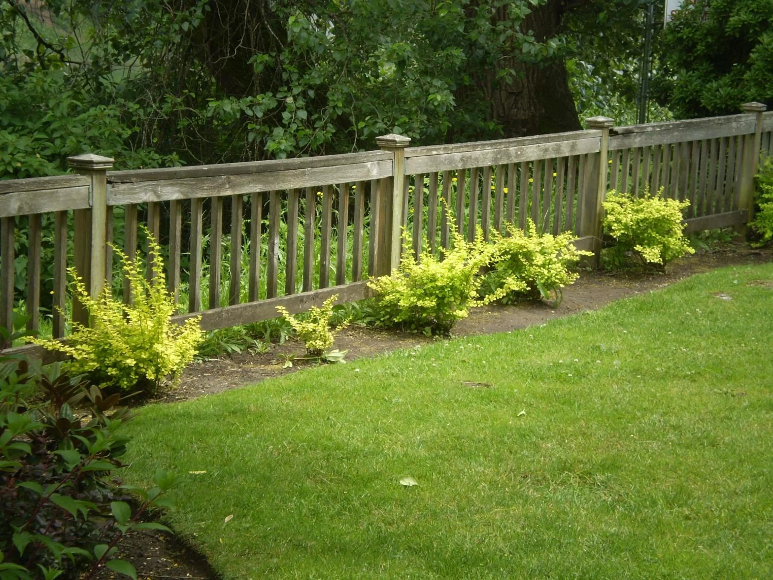 Other in Lewis River Inn