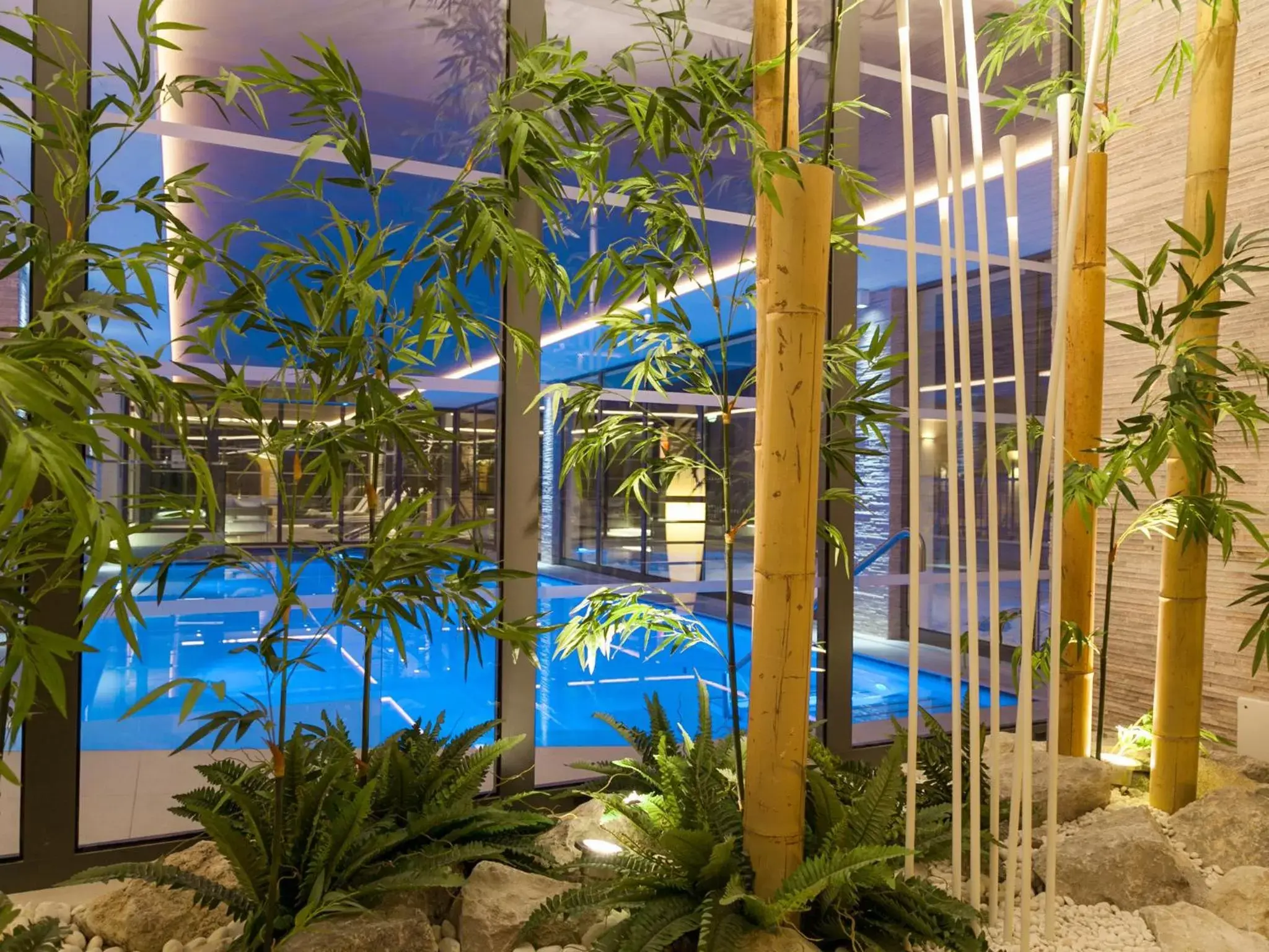 Swimming pool, Pool View in Hotel Europeo Alpine Charme & Wellness