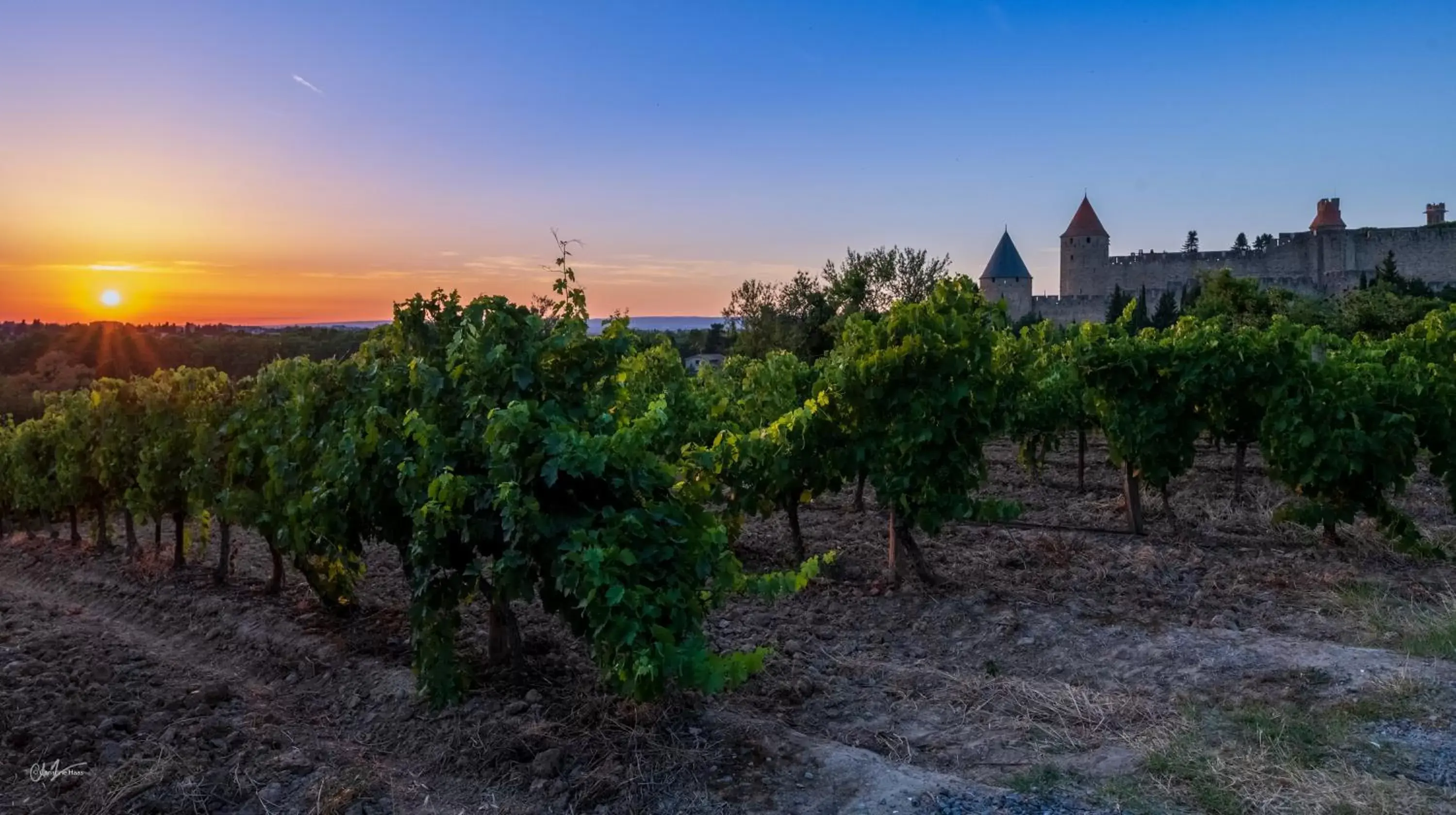 Activities, Sunrise/Sunset in Cerise Carcassonne Sud