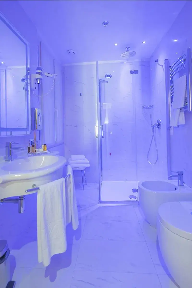 Shower, Bathroom in Hotel Teco