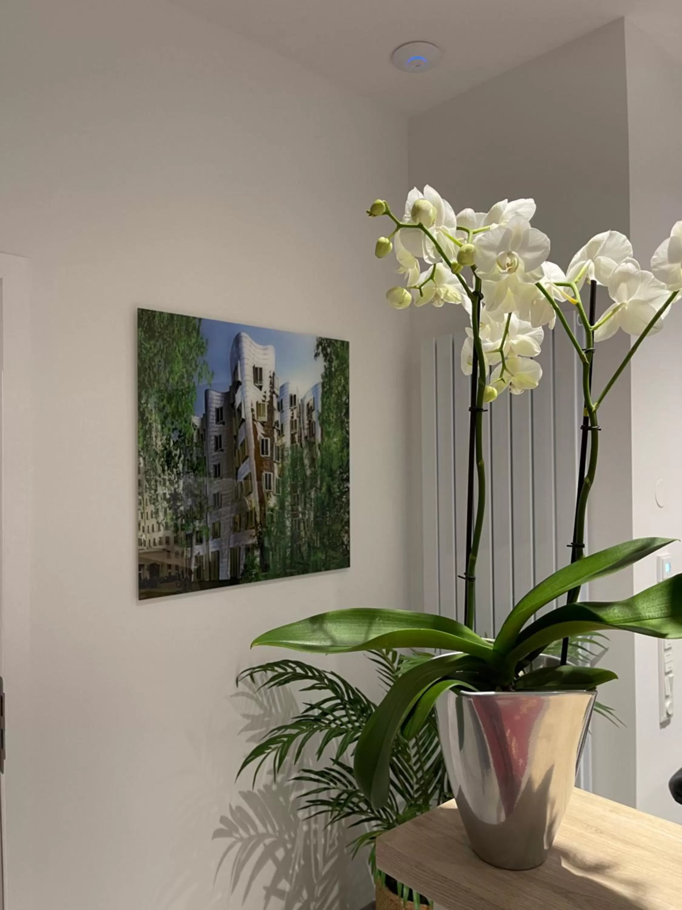 Property building in Palm Premium Hotel & Apartments