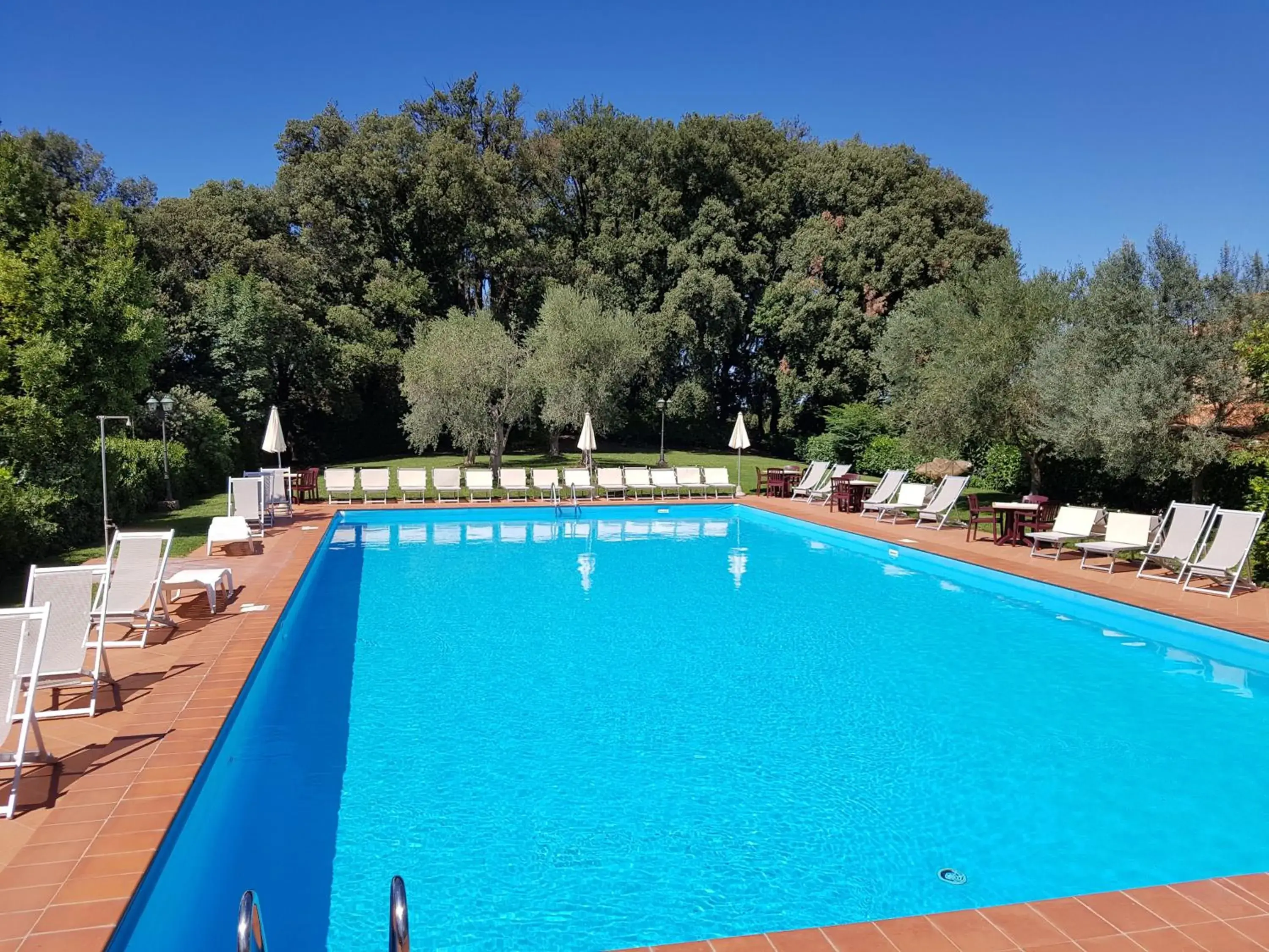 Activities, Swimming Pool in Villa Nencini