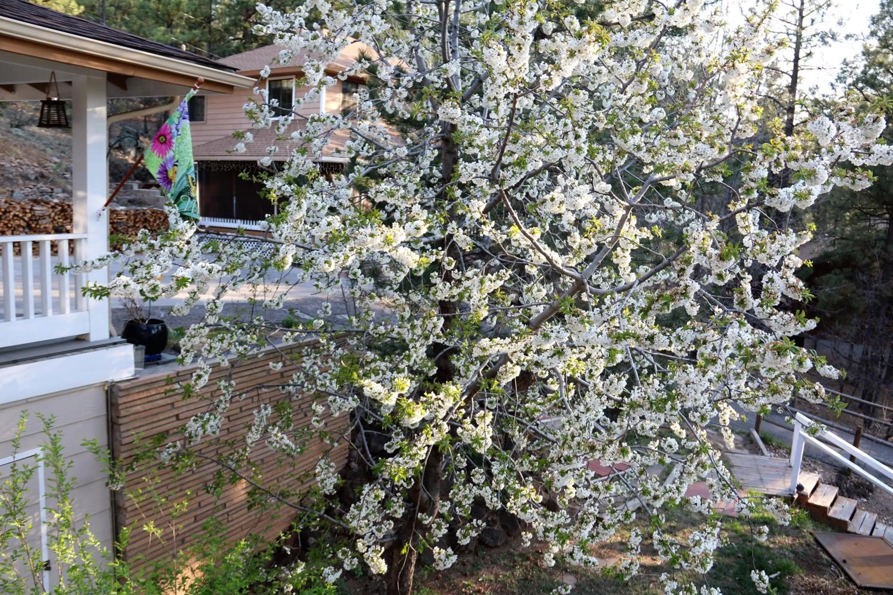 Sheridan House Inn- Adult Only Accommodation