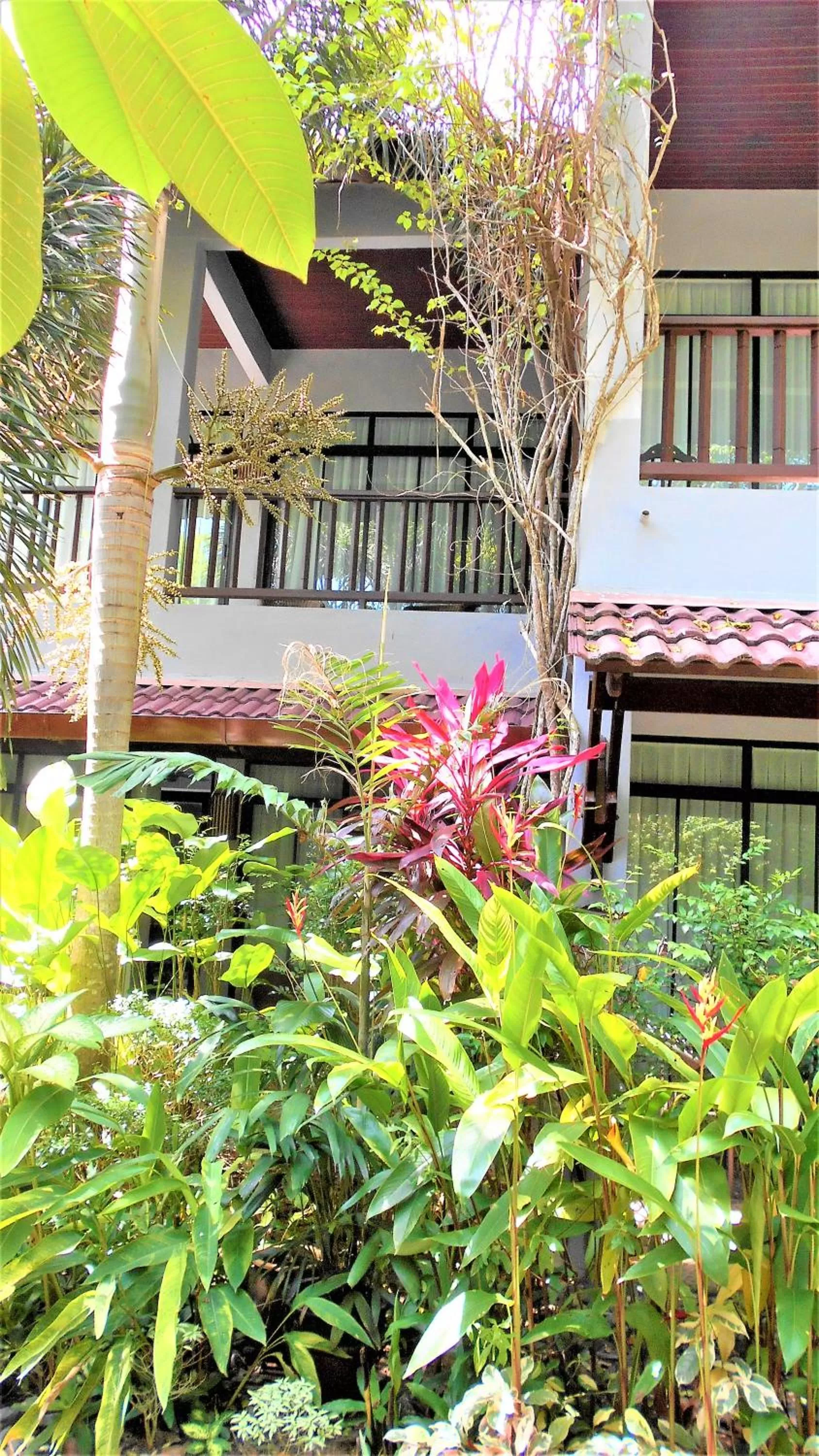 Property building in Villa Molek