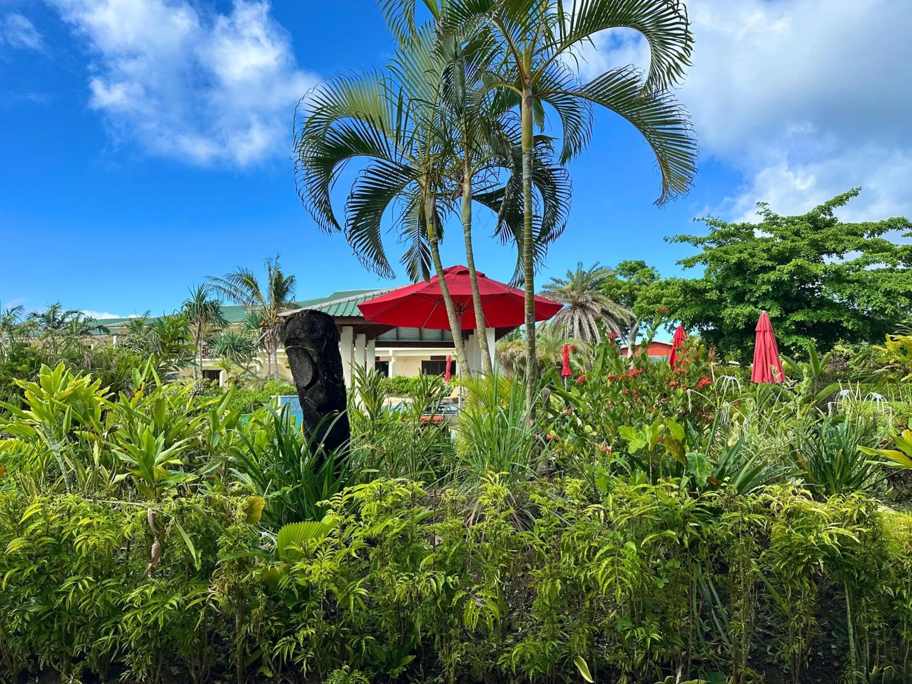 Garden view in Nasama Resort