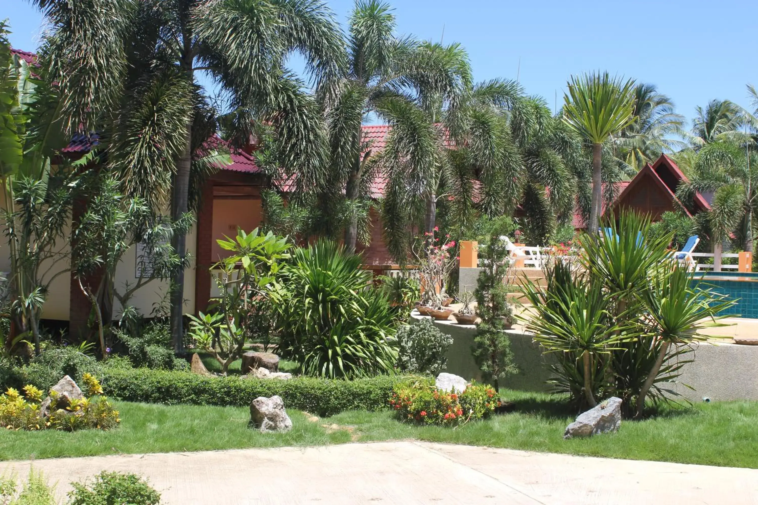 Natural landscape, Garden in D.R. Lanta Bay Resort