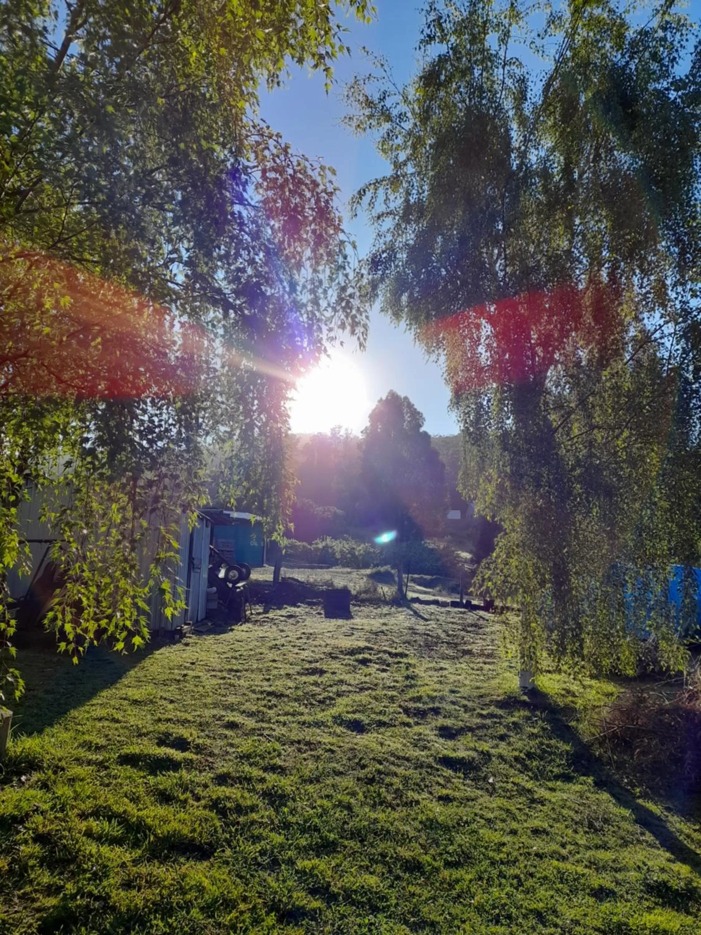 Hillside Bed and Breakfast