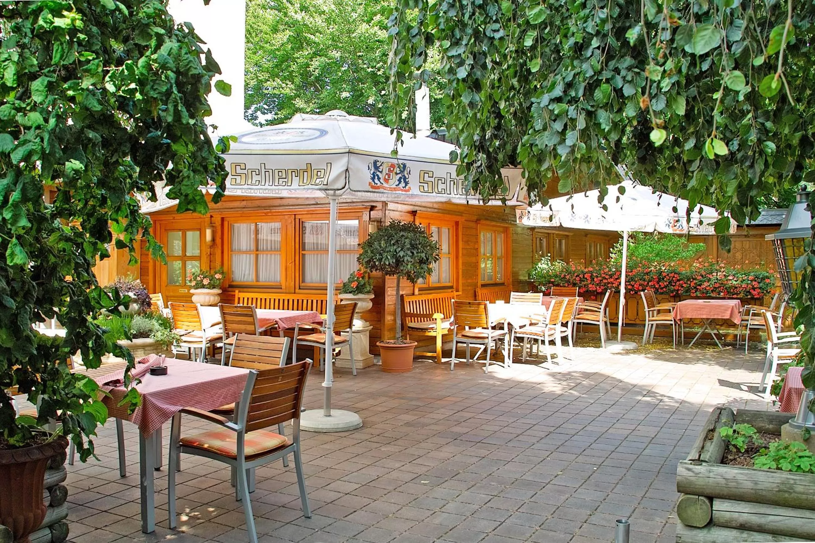 Restaurant/places to eat in Hotel Falter