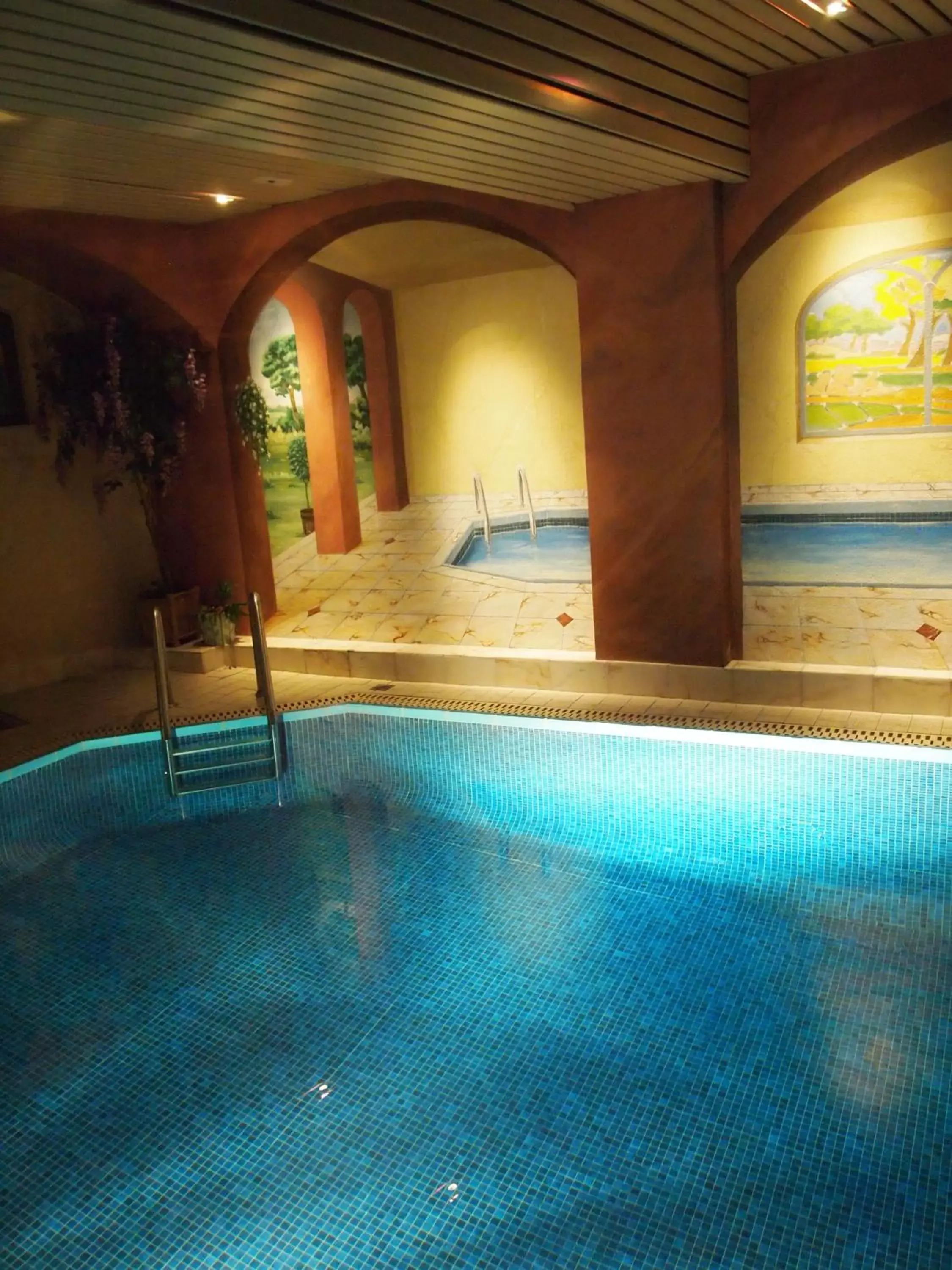 Spa and wellness centre/facilities, Swimming Pool in Hotel Restaurant Au Cerf d'Or