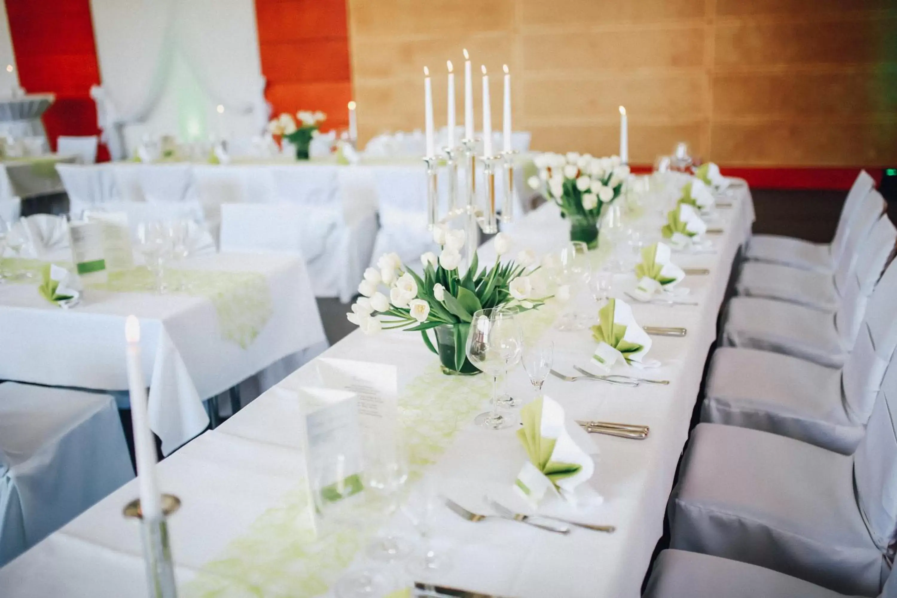 Banquet/Function facilities, Banquet Facilities in Ostseehotel Dierhagen