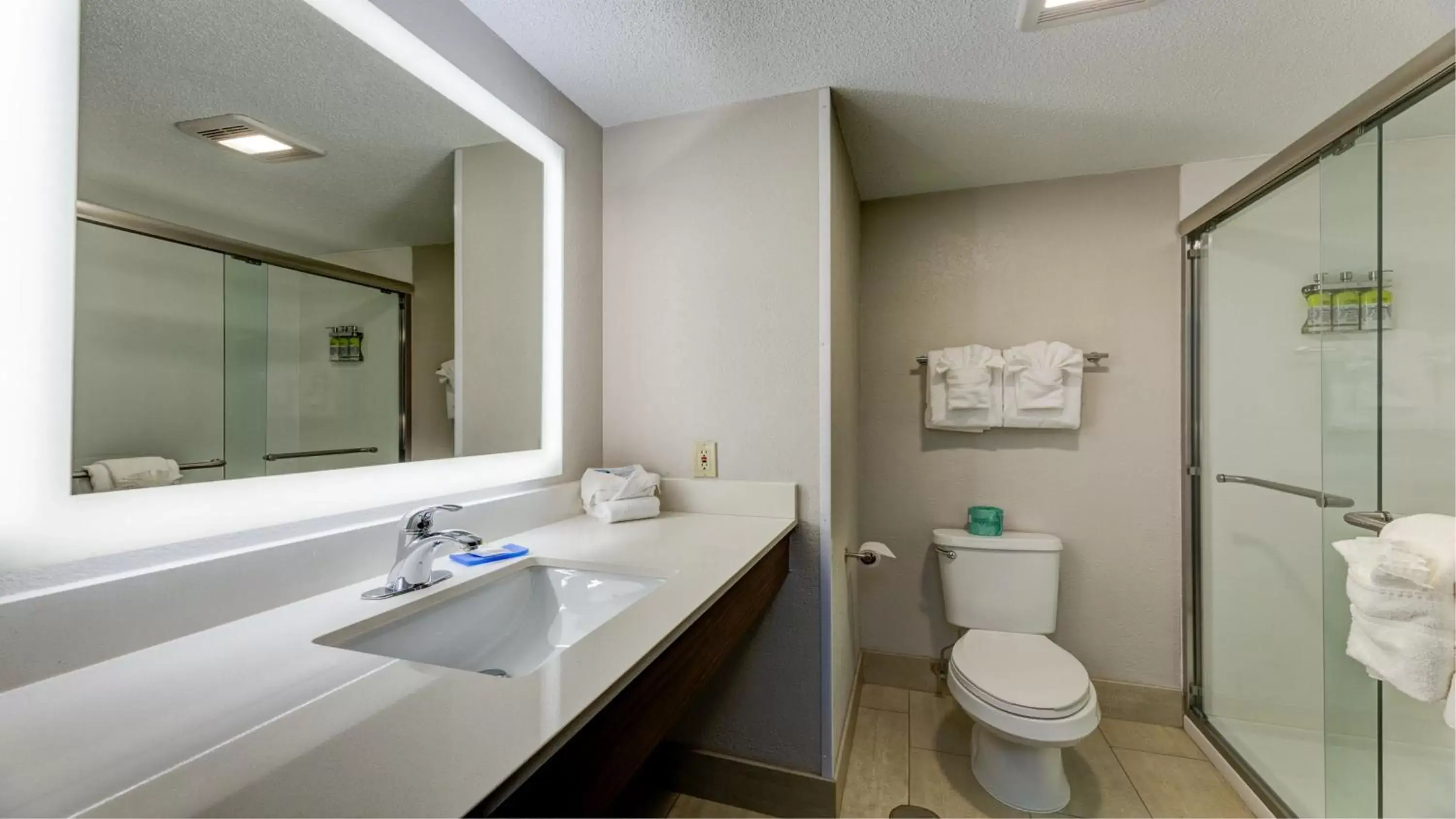 Bathroom in Holiday Inn Express & Suites Ashtabula-Geneva, an IHG Hotel