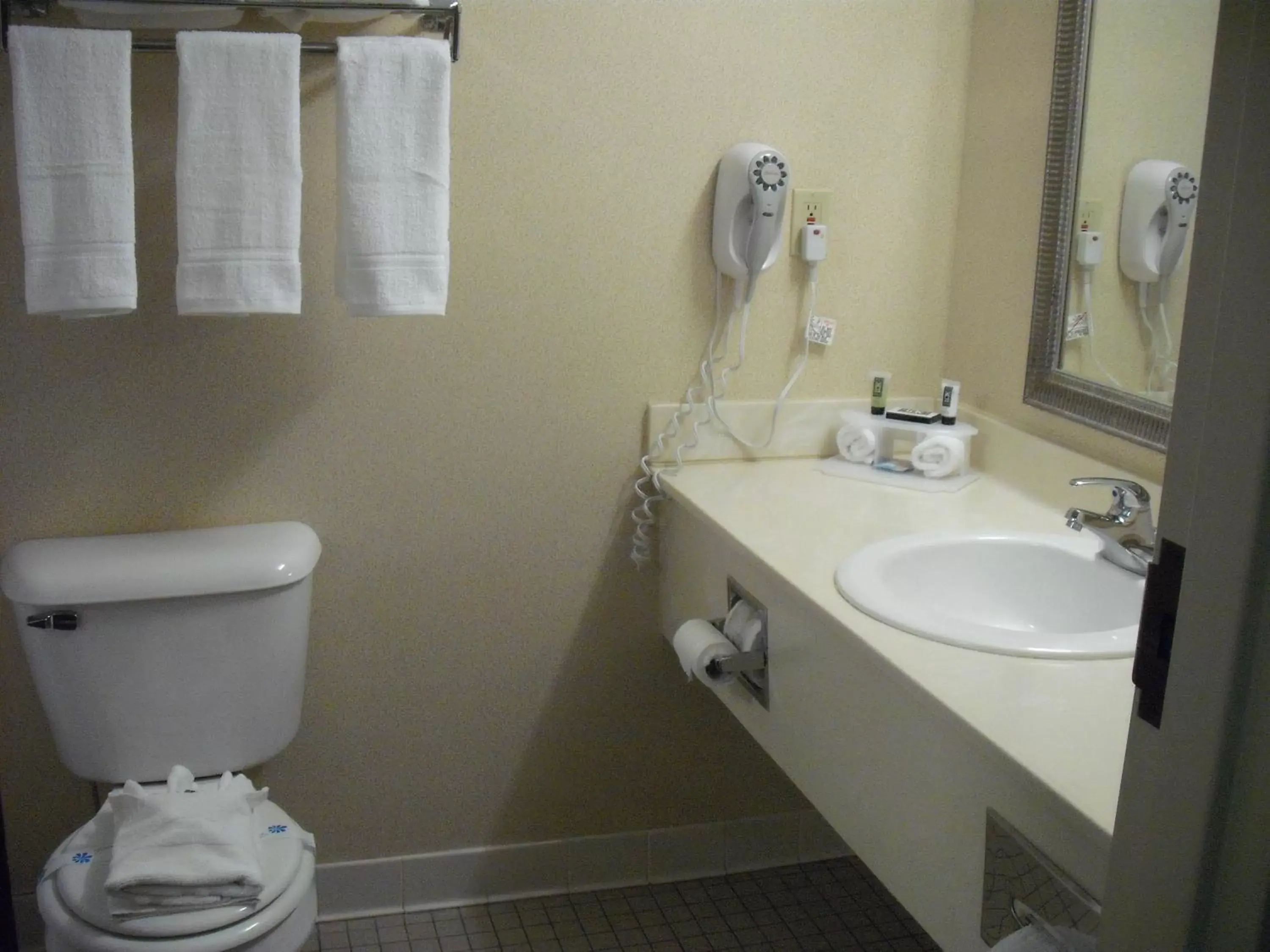 Bathroom in Mountain Inn & Suites
