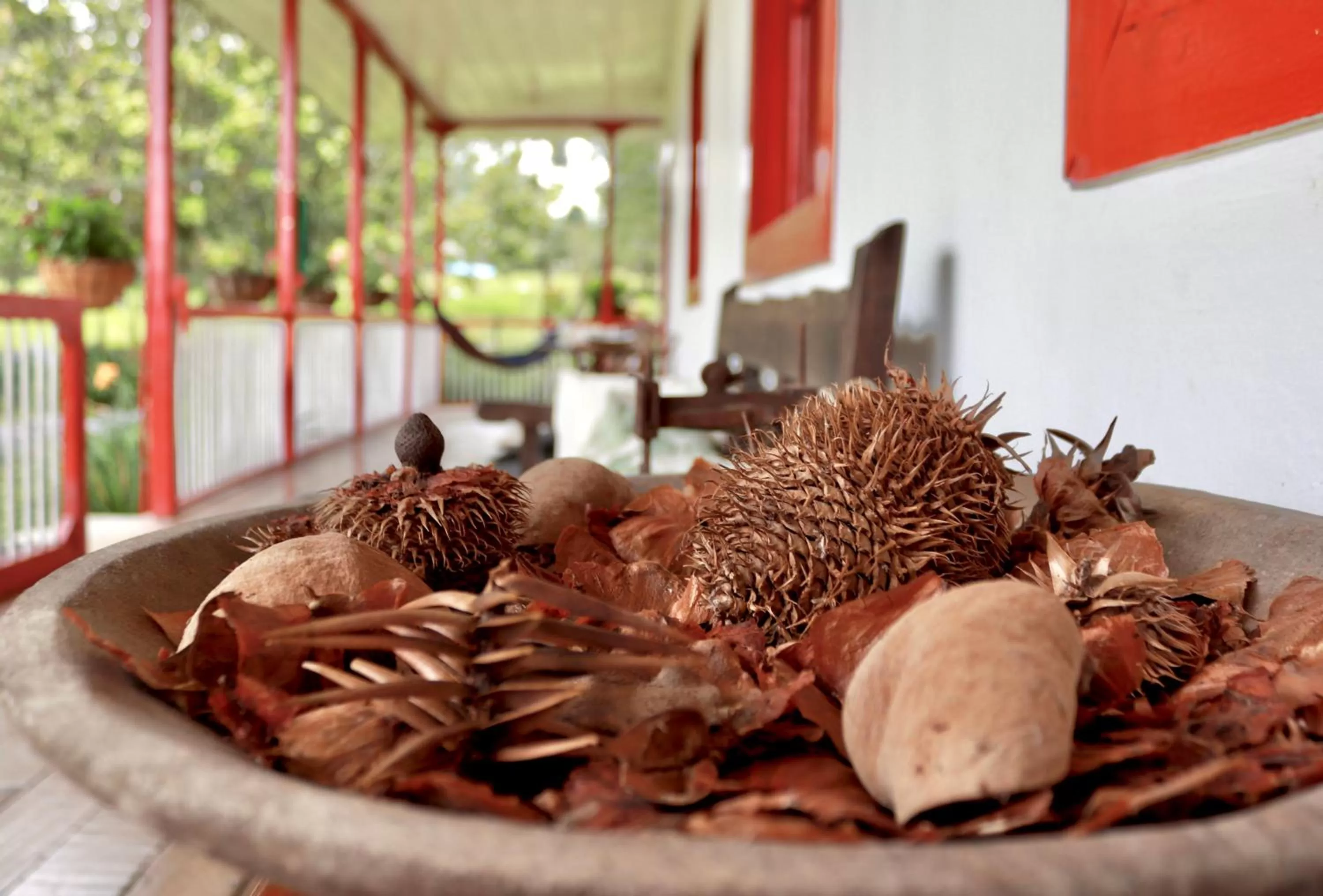 Balcony/Terrace in La Cabaña Ecohotel - Valle del Cocora