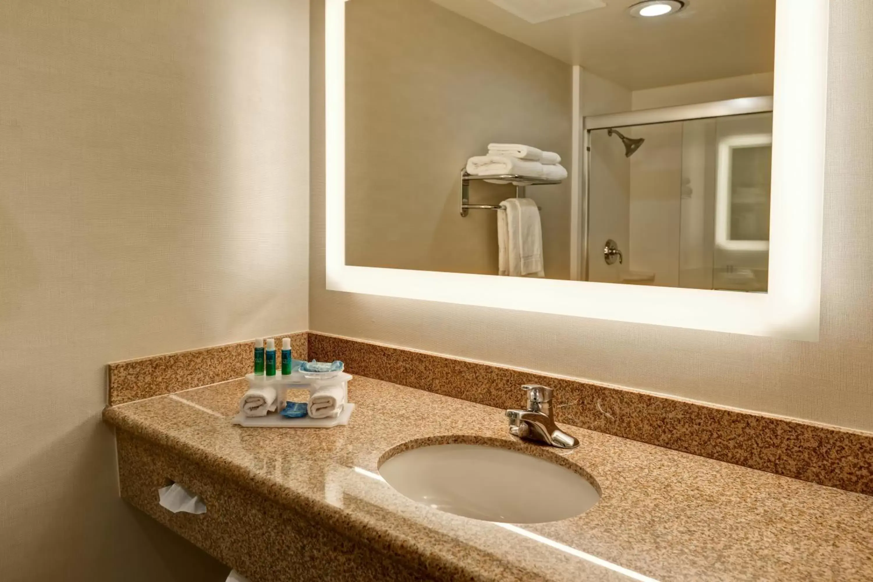 Bathroom in Holiday Inn Express Newport Beach, an IHG Hotel