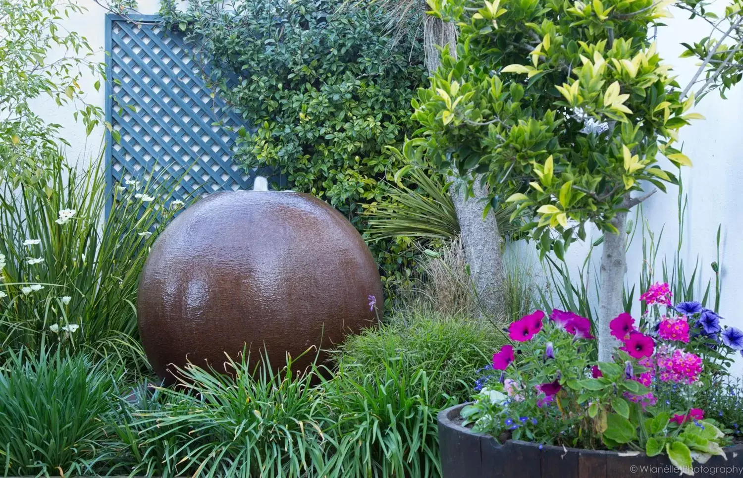 Garden in Carslogie House