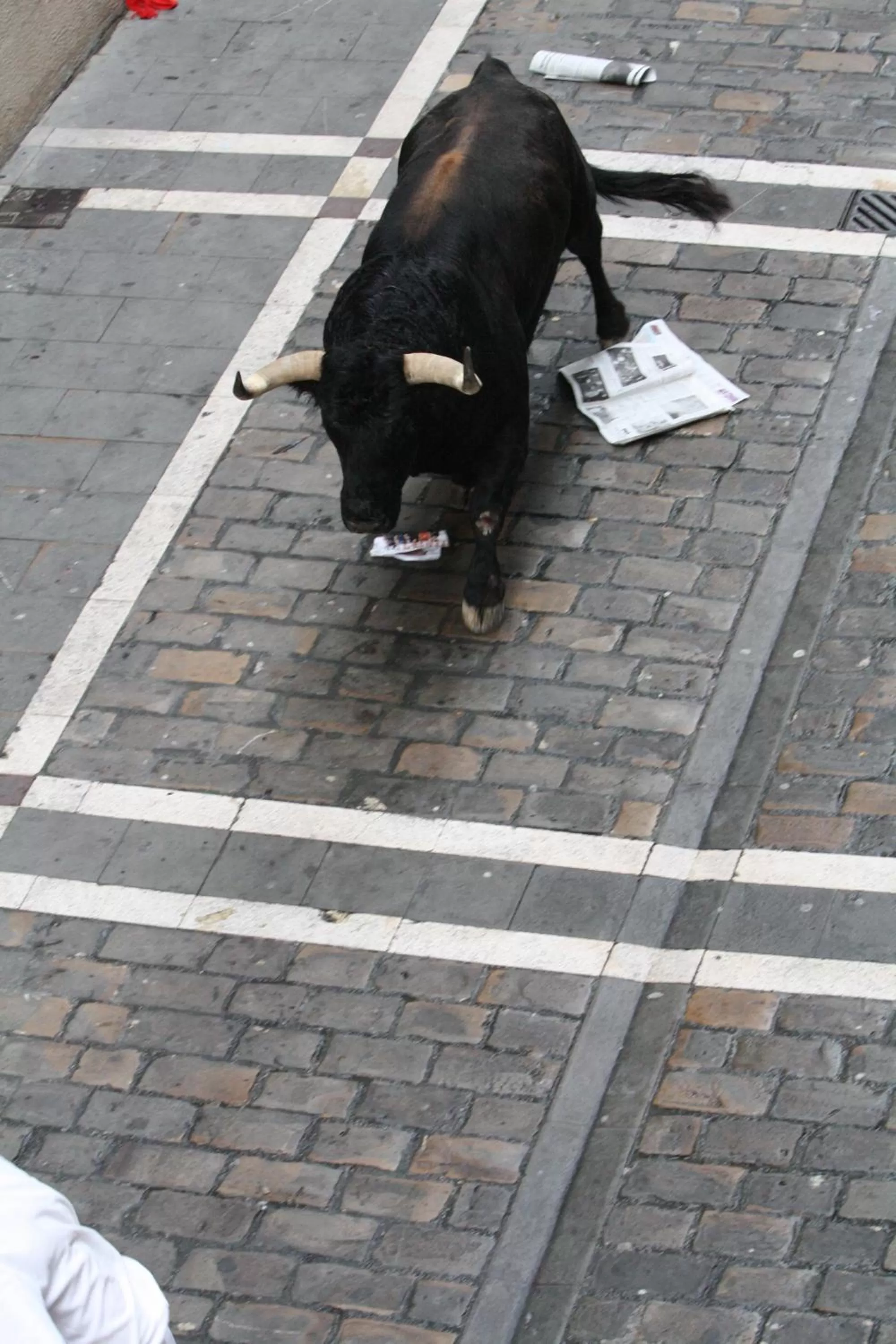 View (from property/room) in Gran Hotel La Perla