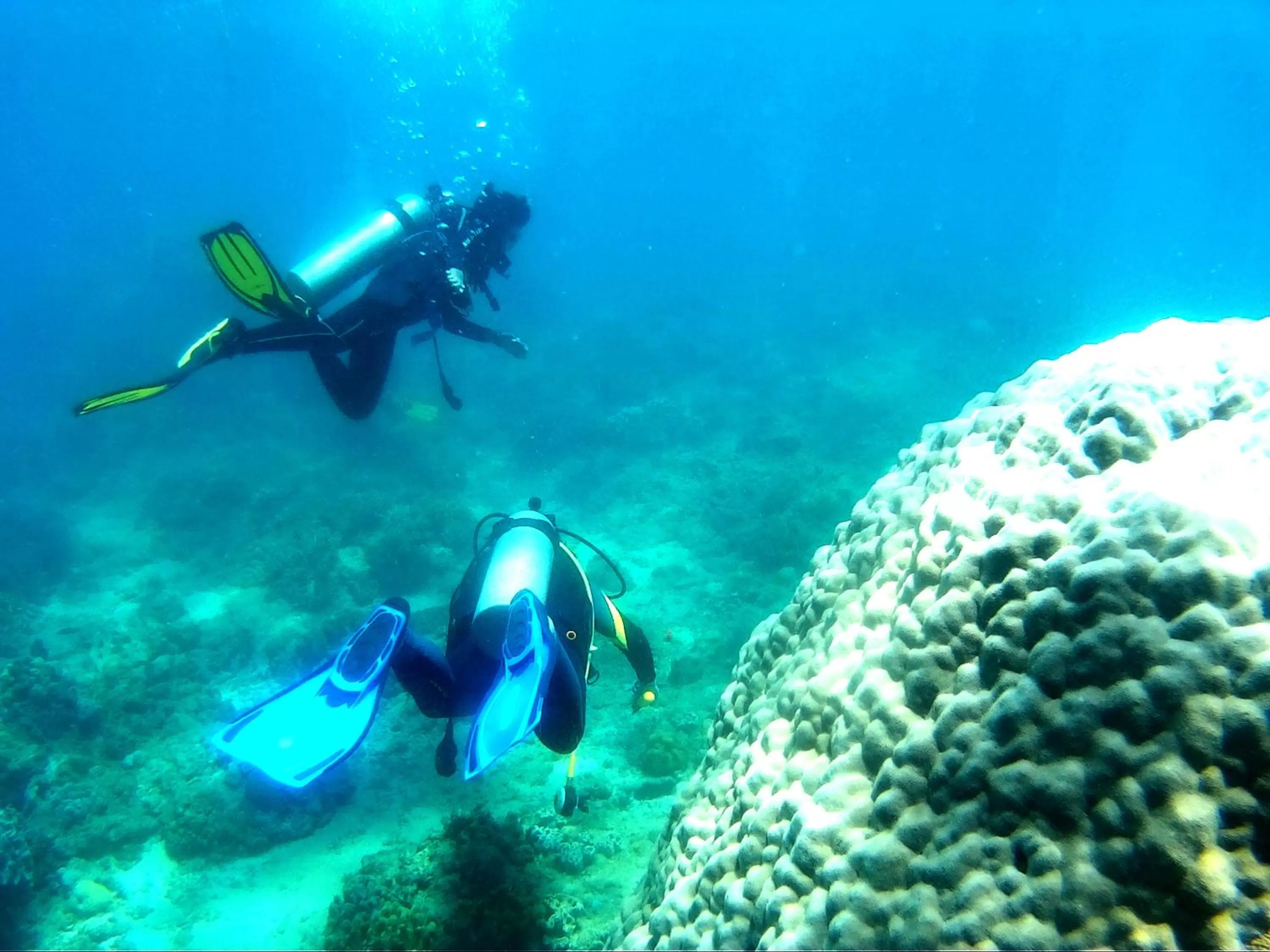 Diving in Paseo Del Mar Seaside Inn