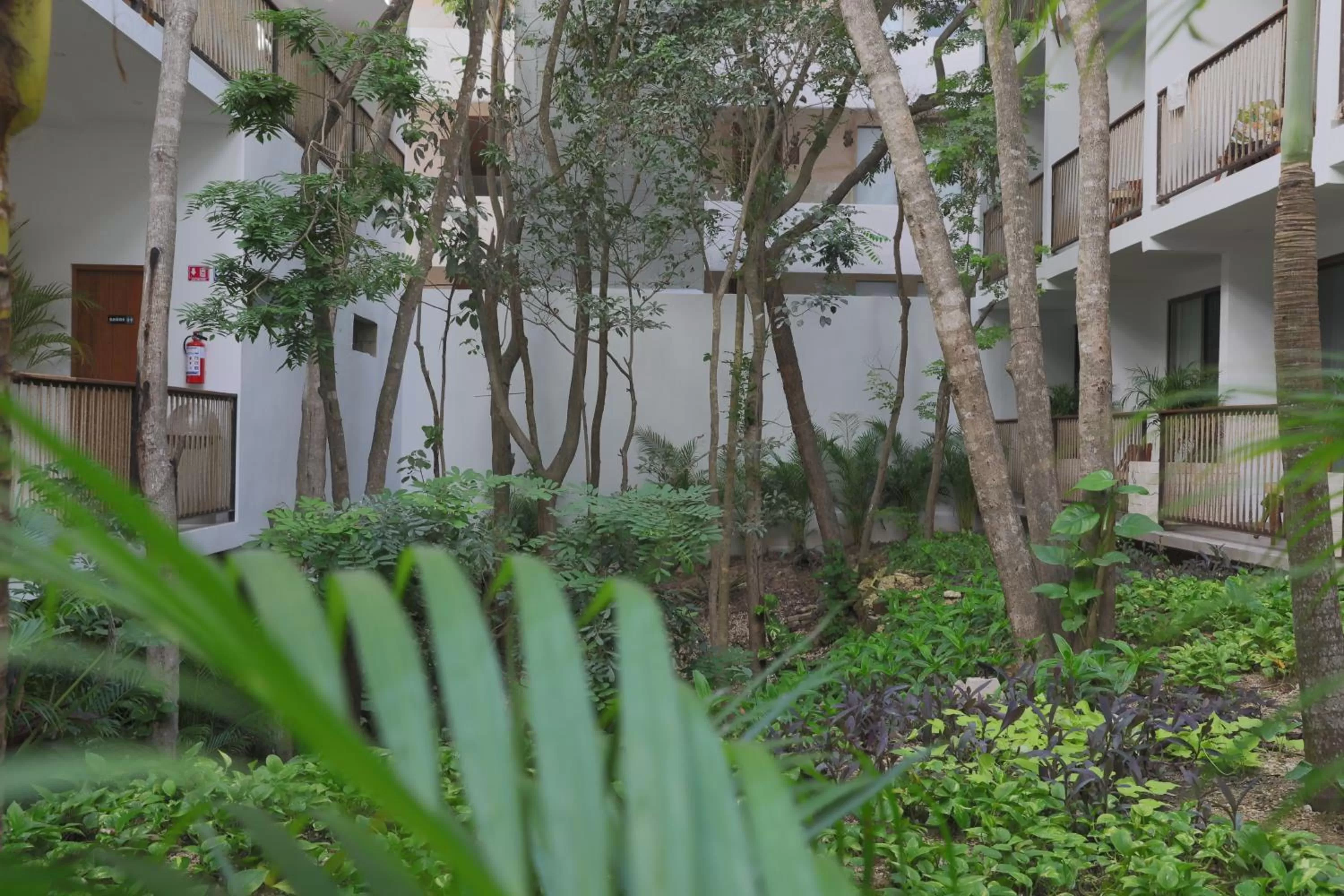 Garden in Hotel Blanco Tulum Adults Only