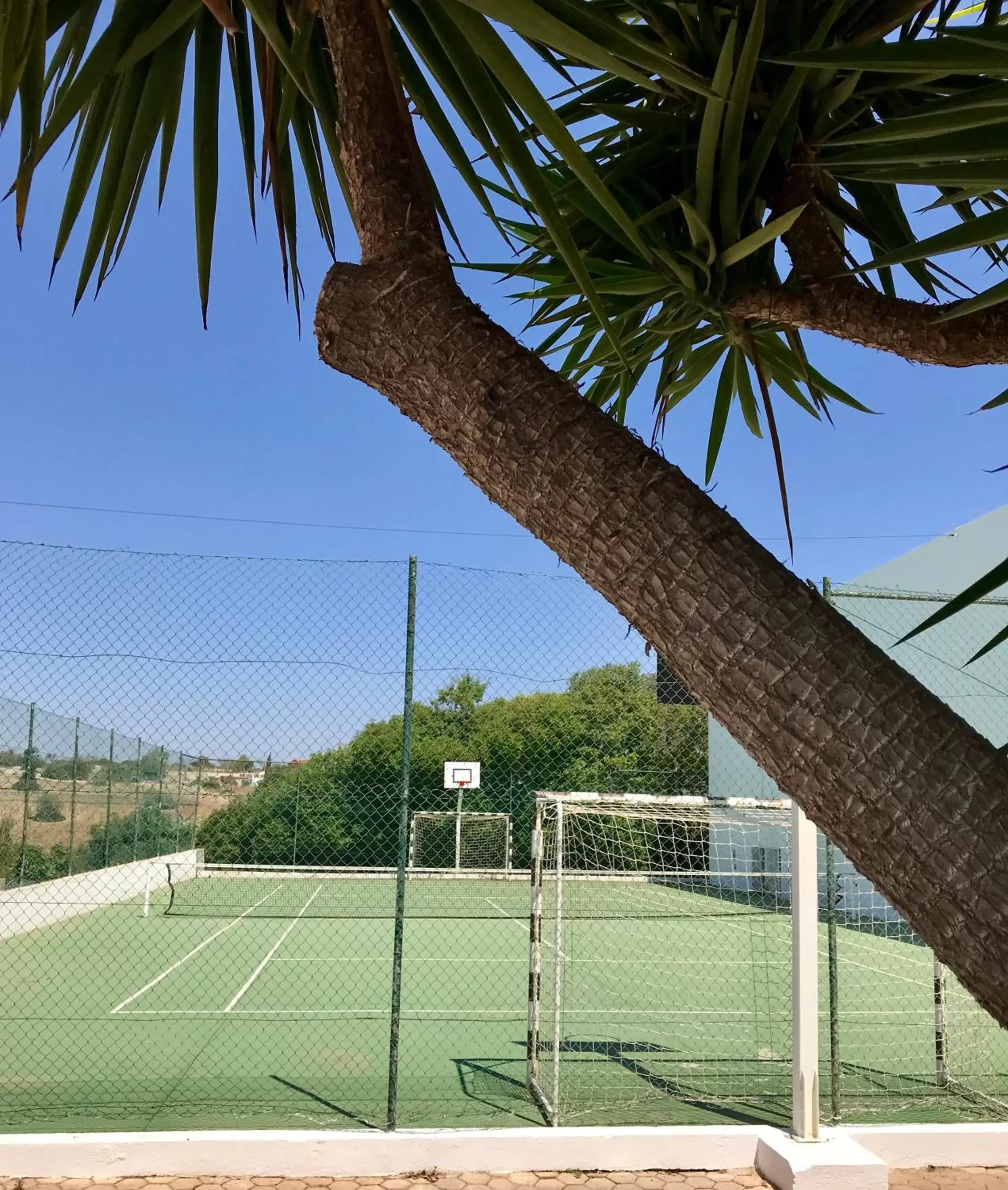 Squash in Pateo Village