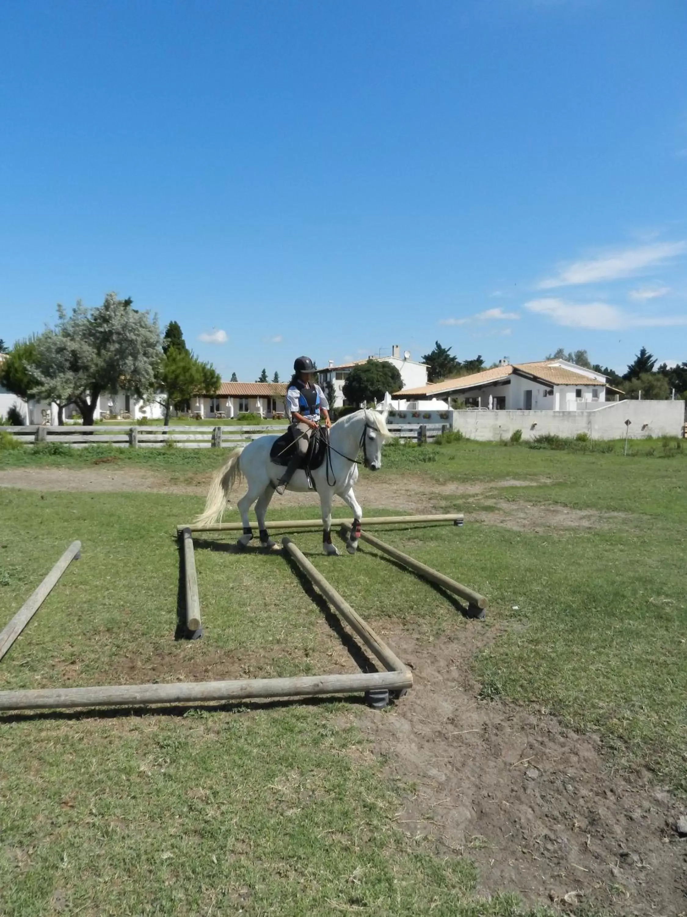 Horse-riding in Mas de la Grenouillère Hôtel et Centre équestre en pleine nature