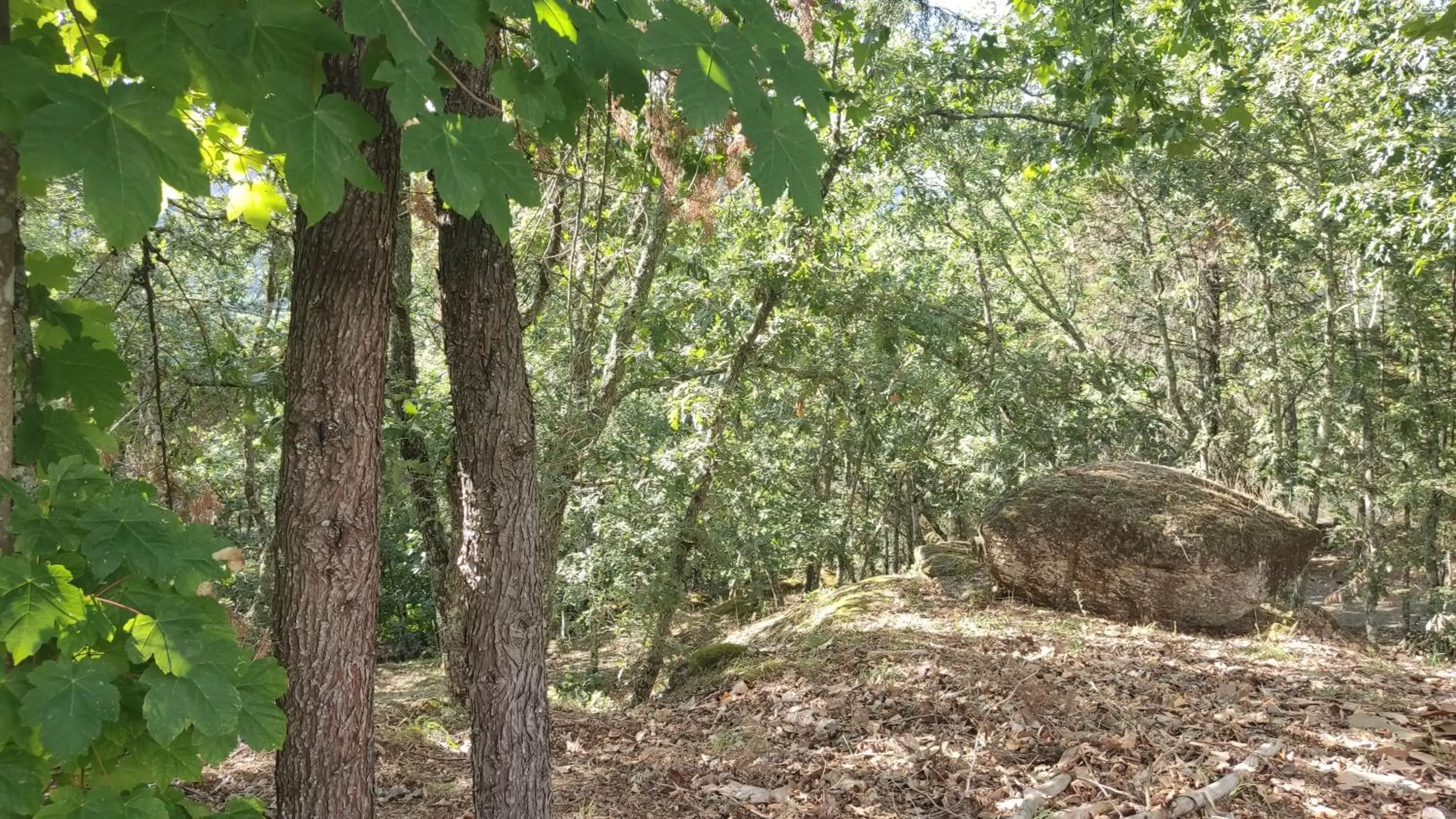 Natural Landscape in Casa de Apeleiras