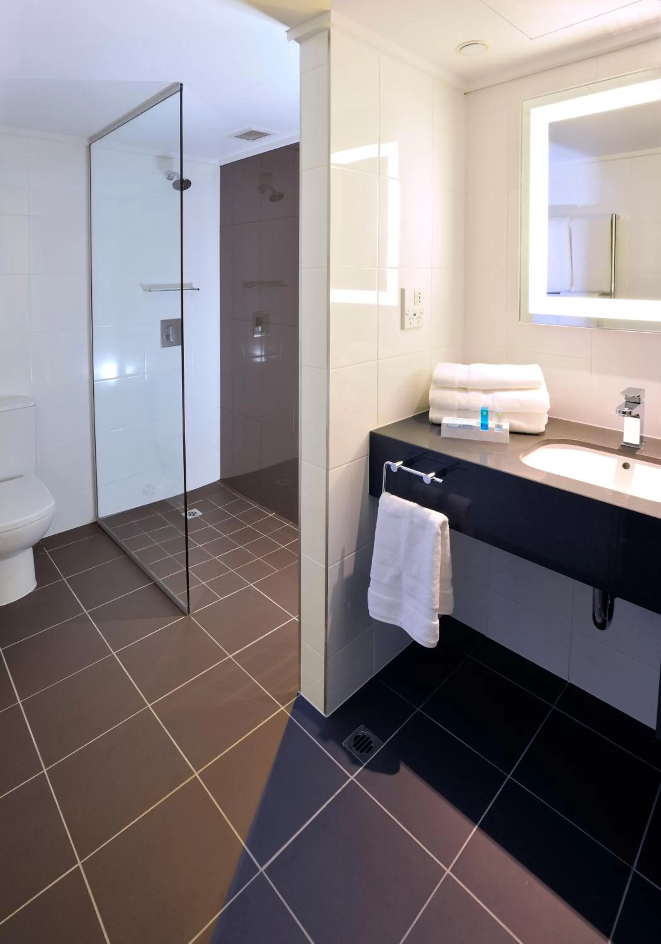 Shower in Novotel Melbourne On Collins