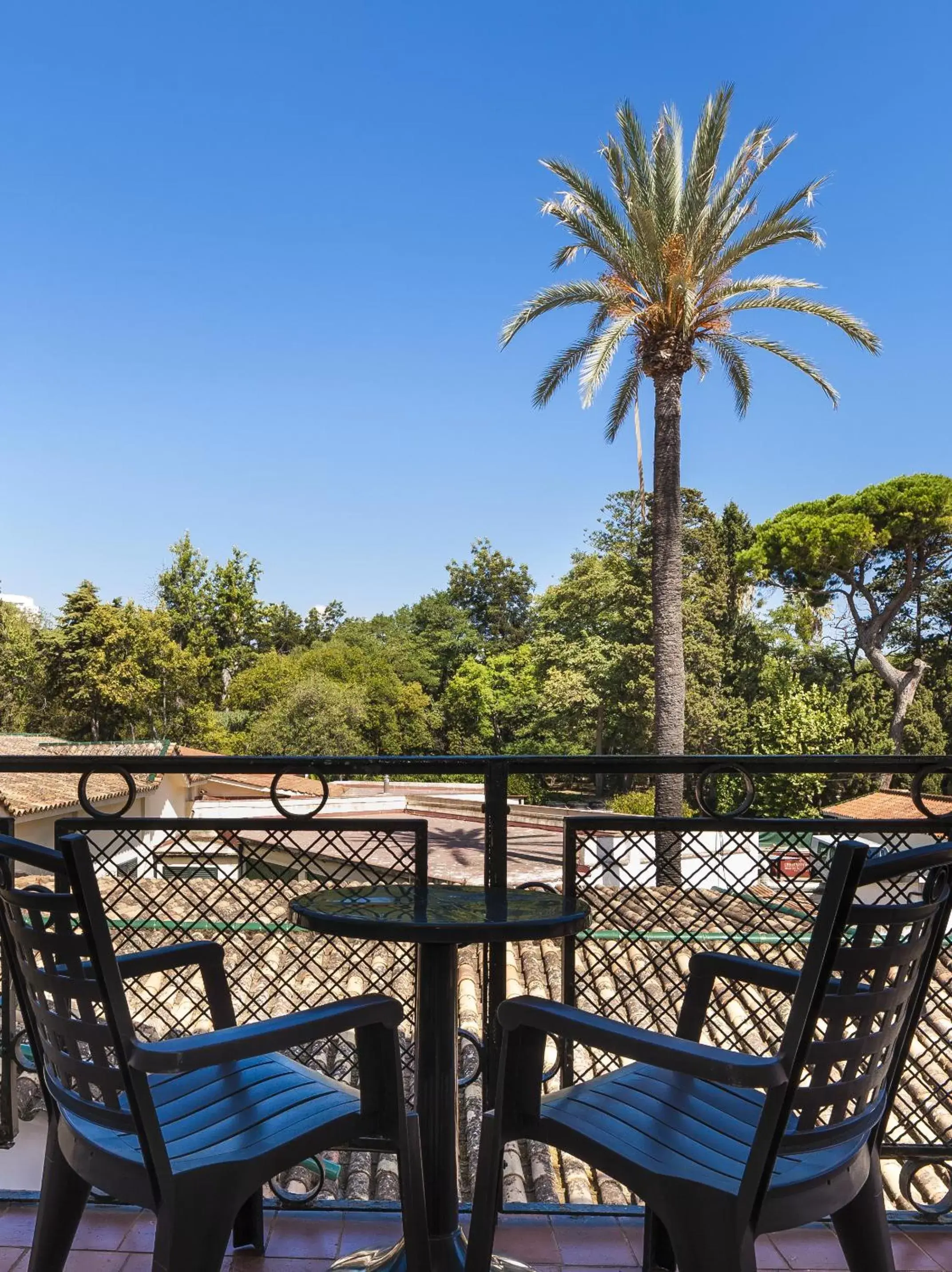 Balcony/Terrace in Globales Reina Cristina