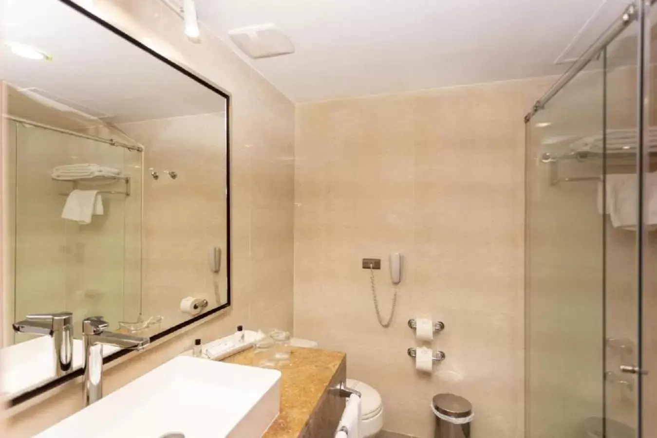 Shower, Bathroom in Hotel San Fernando Plaza