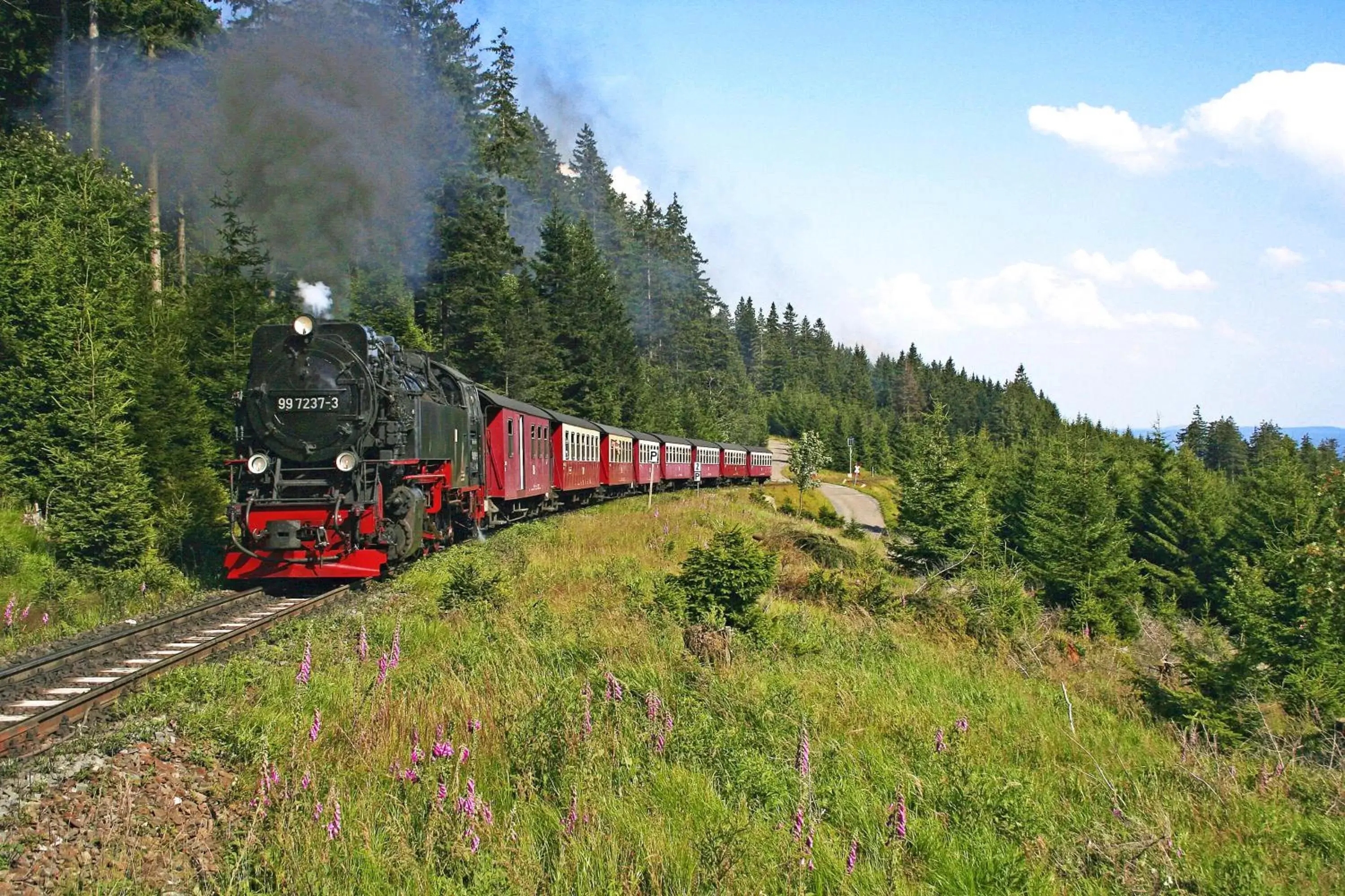 Nearby landmark in Ringhotel Weißer Hirsch