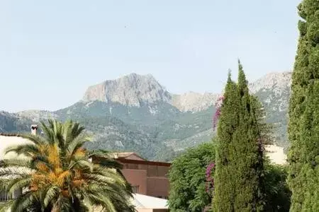 Mountain View in Ca'n Puig de Sóller