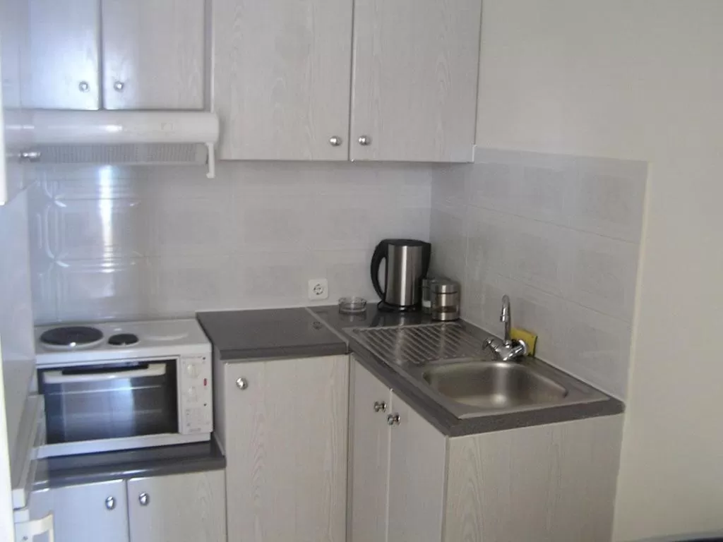 Kitchen or kitchenette in Polydoros Appartments