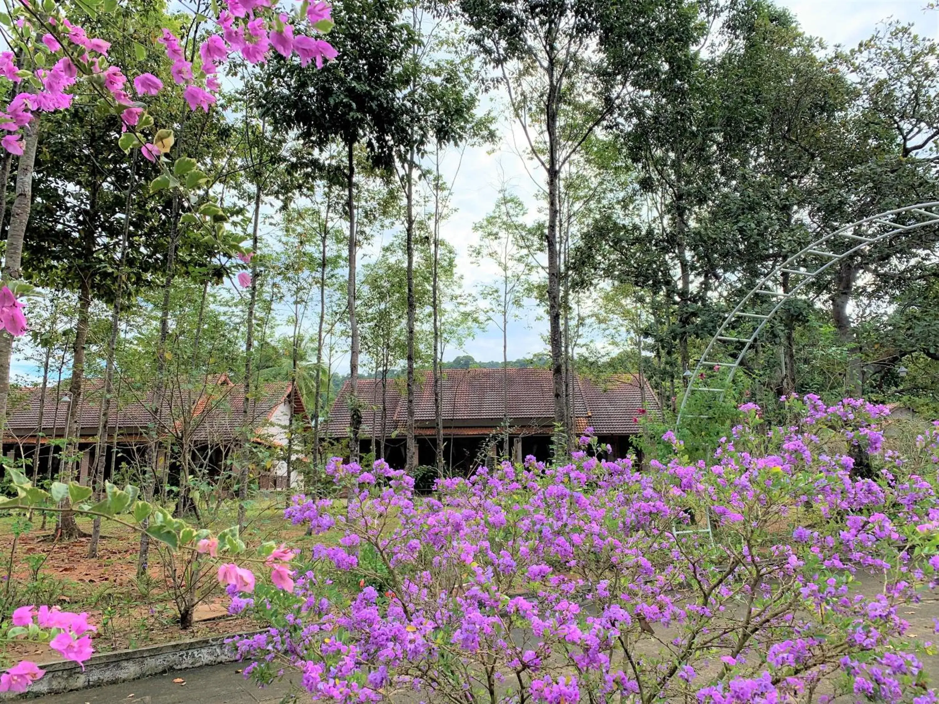 Property building in The Garden House Phu Quoc Resort