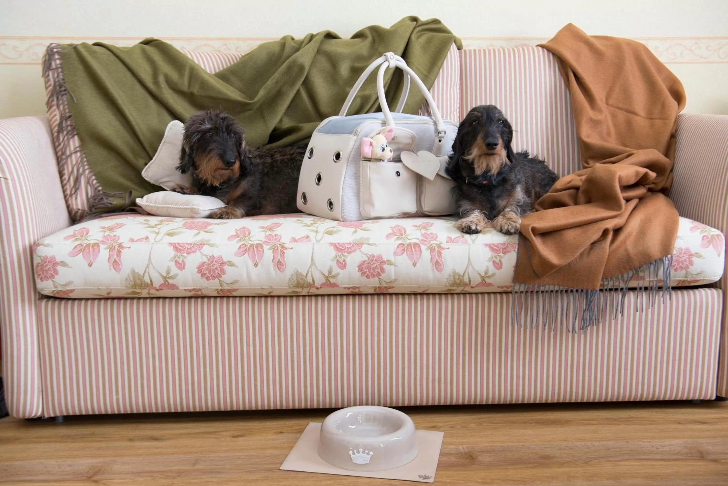 Pets in Grand Hotel Royal E Golf