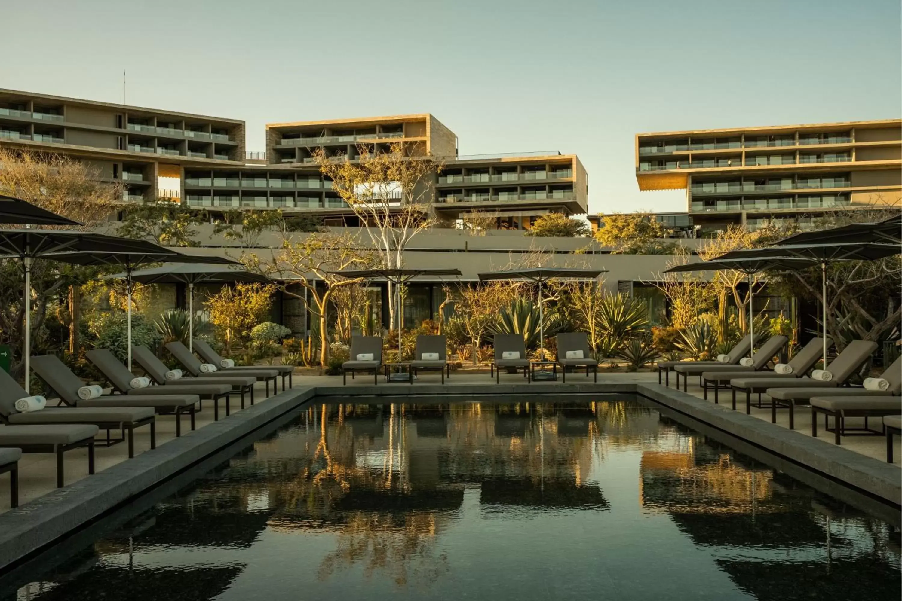 Swimming pool, Property Building in Solaz, a Luxury Collection Resort, Los Cabos