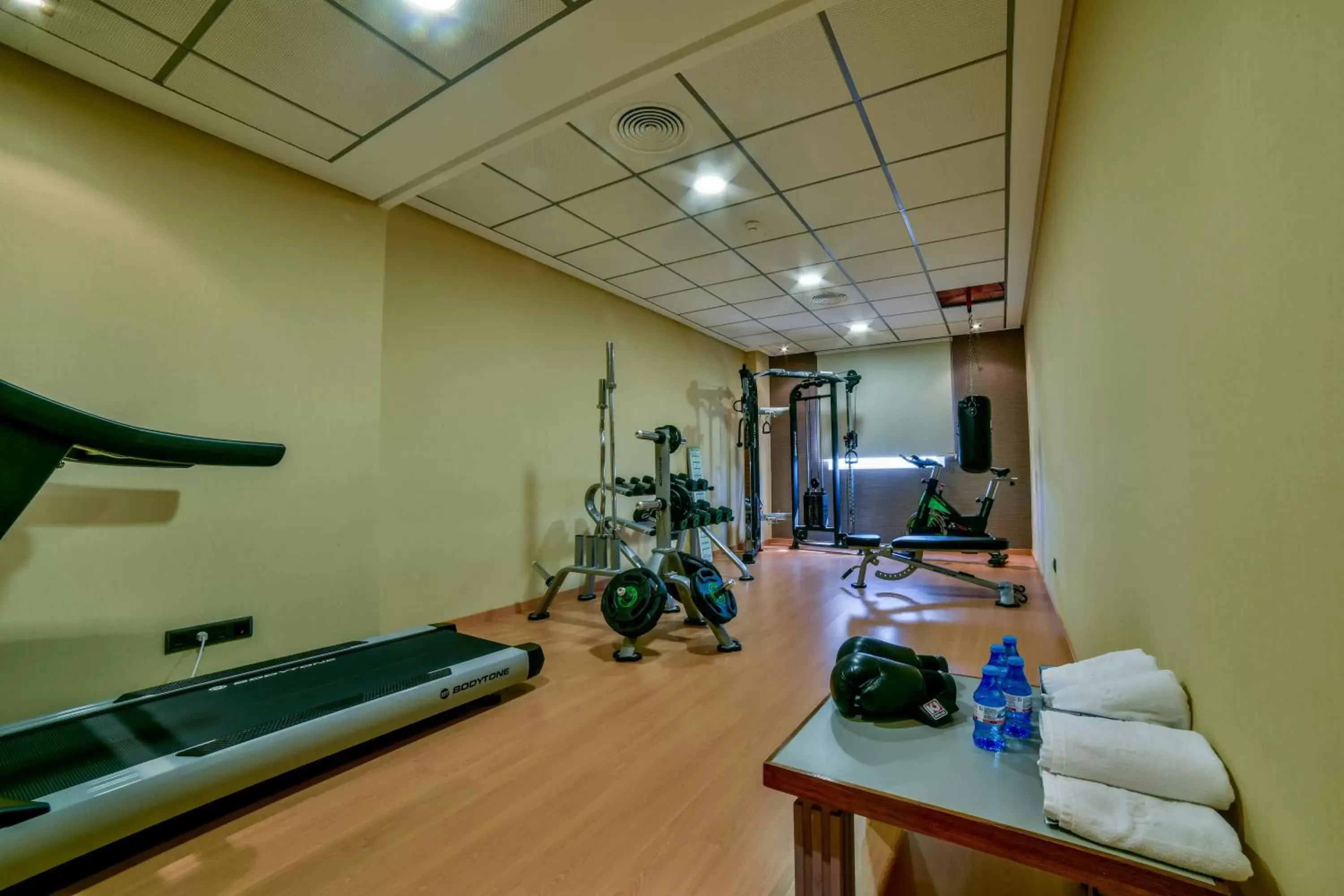 Fitness centre/facilities, Fitness Center/Facilities in Sercotel Riscal