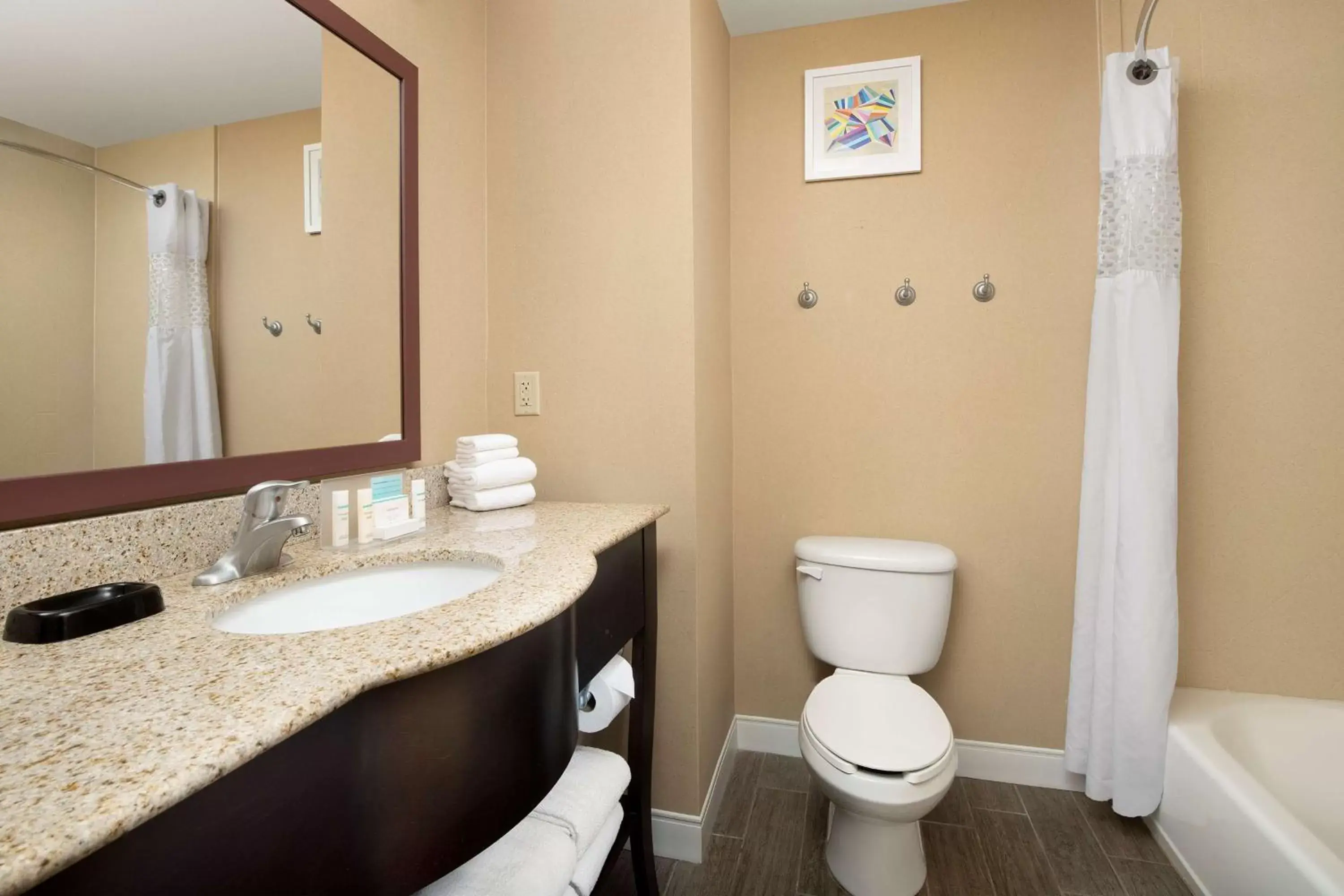 Bathroom in Hampton Inn & Suites Lakeland-South Polk Parkway
