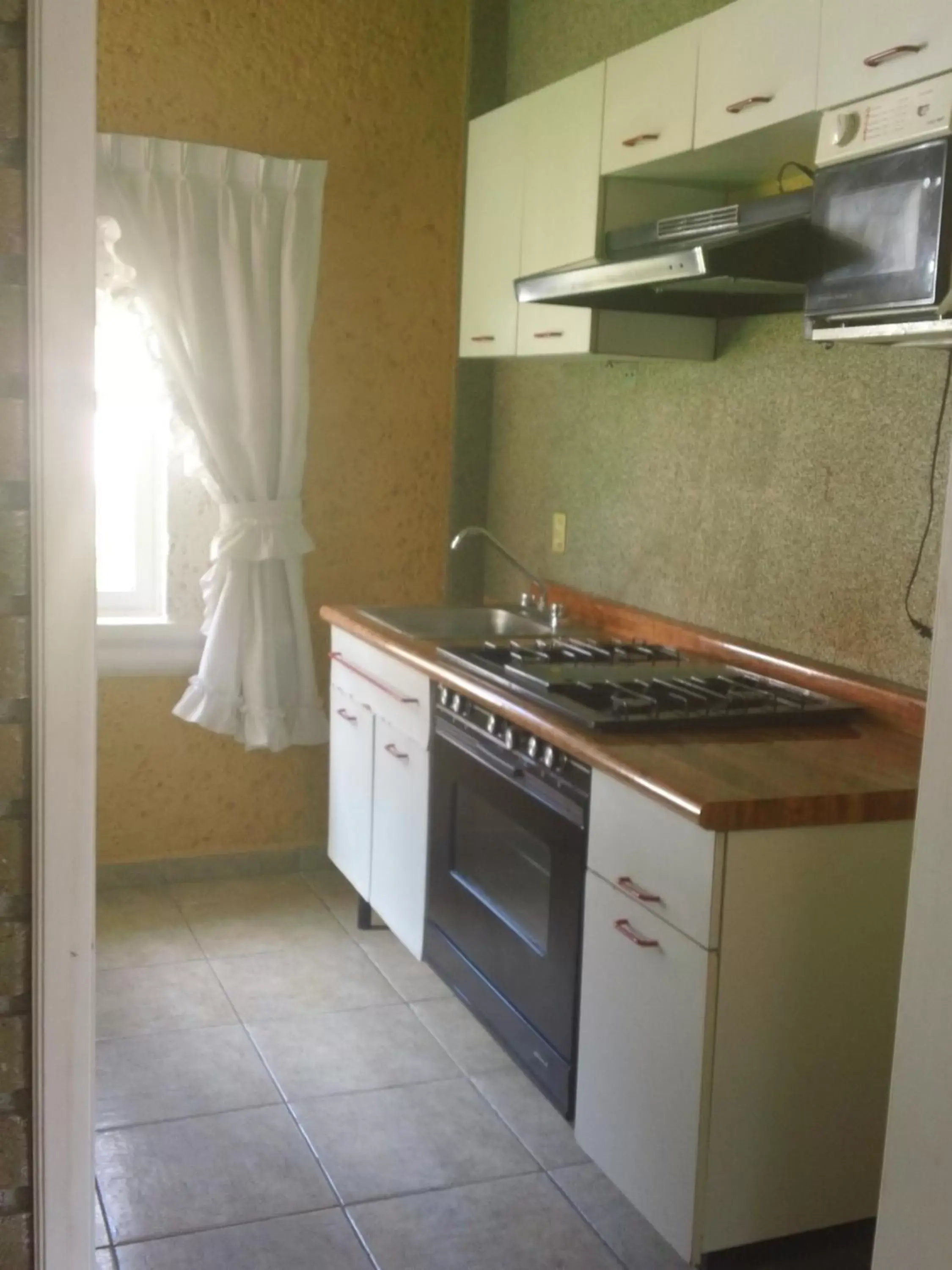 Kitchen or kitchenette, Kitchen/Kitchenette in Hotel Villa Monarca Inn