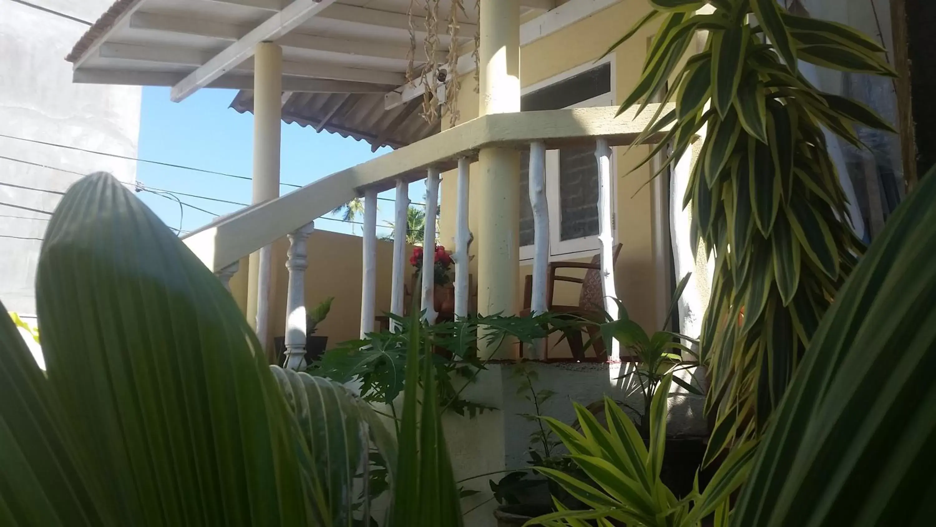 Budget Double Room in Turtle Reef Guest Budget Double Room in Turtle Reef Guest