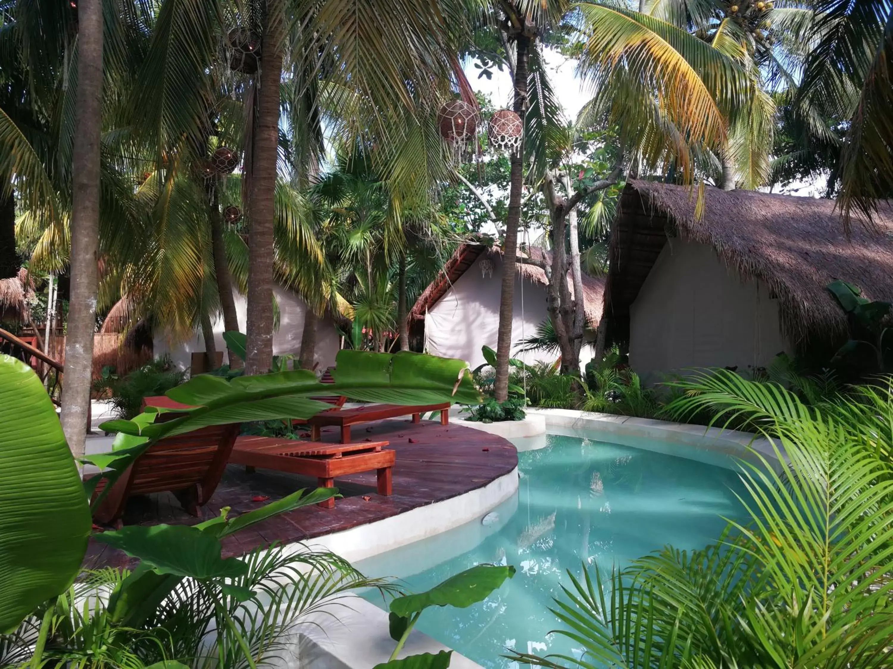 Swimming Pool in Serena Tulum - Adults Only