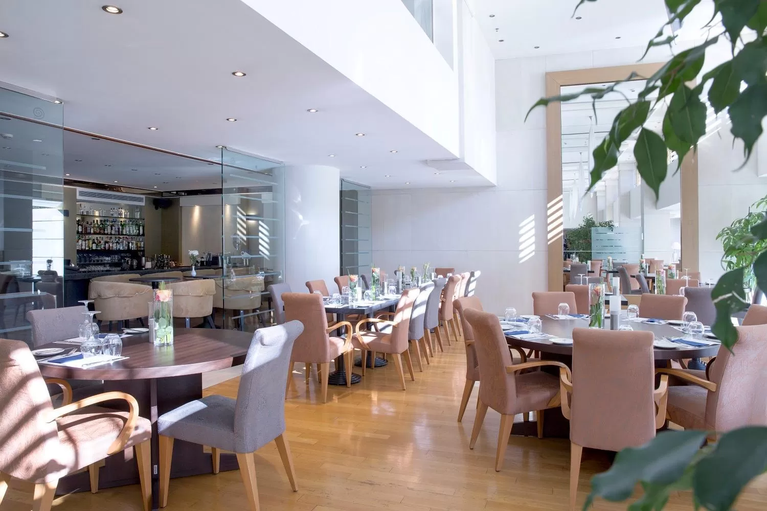 Restaurant/places to eat in Golden Age Athens Hotel