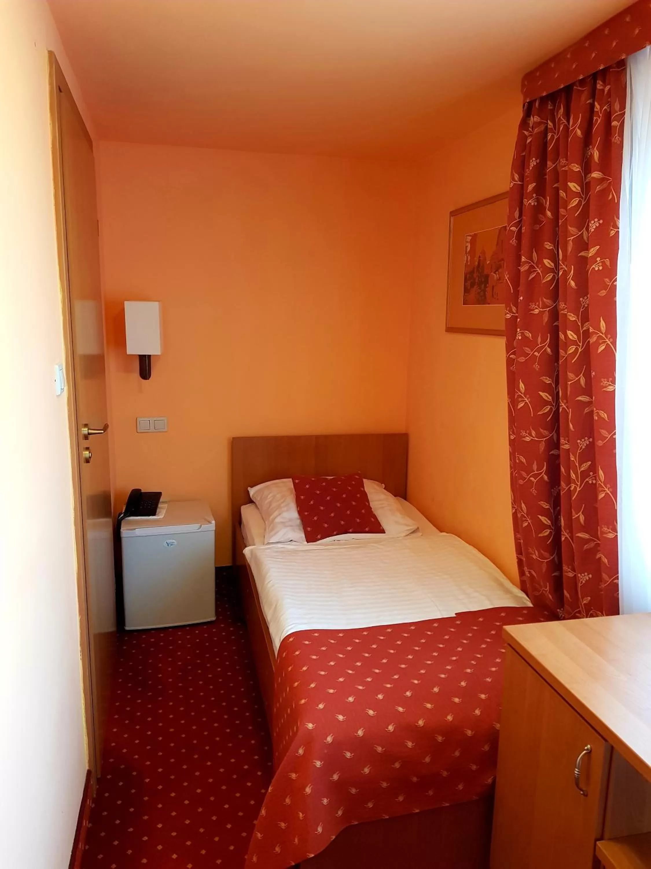 Small Single Room in Hotel Solny